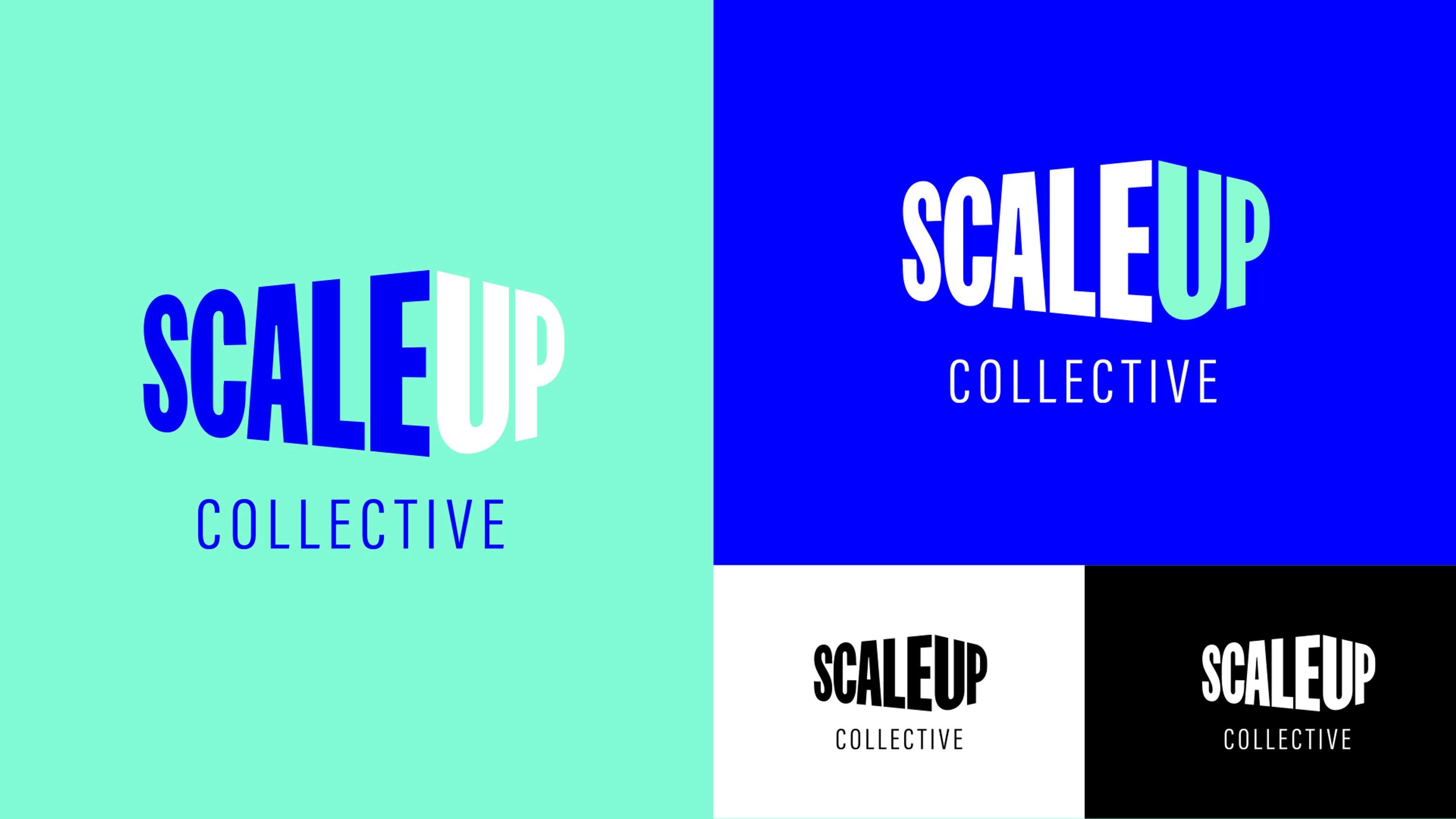 Scale Up Collective - Branding by Hadrien Chatelet