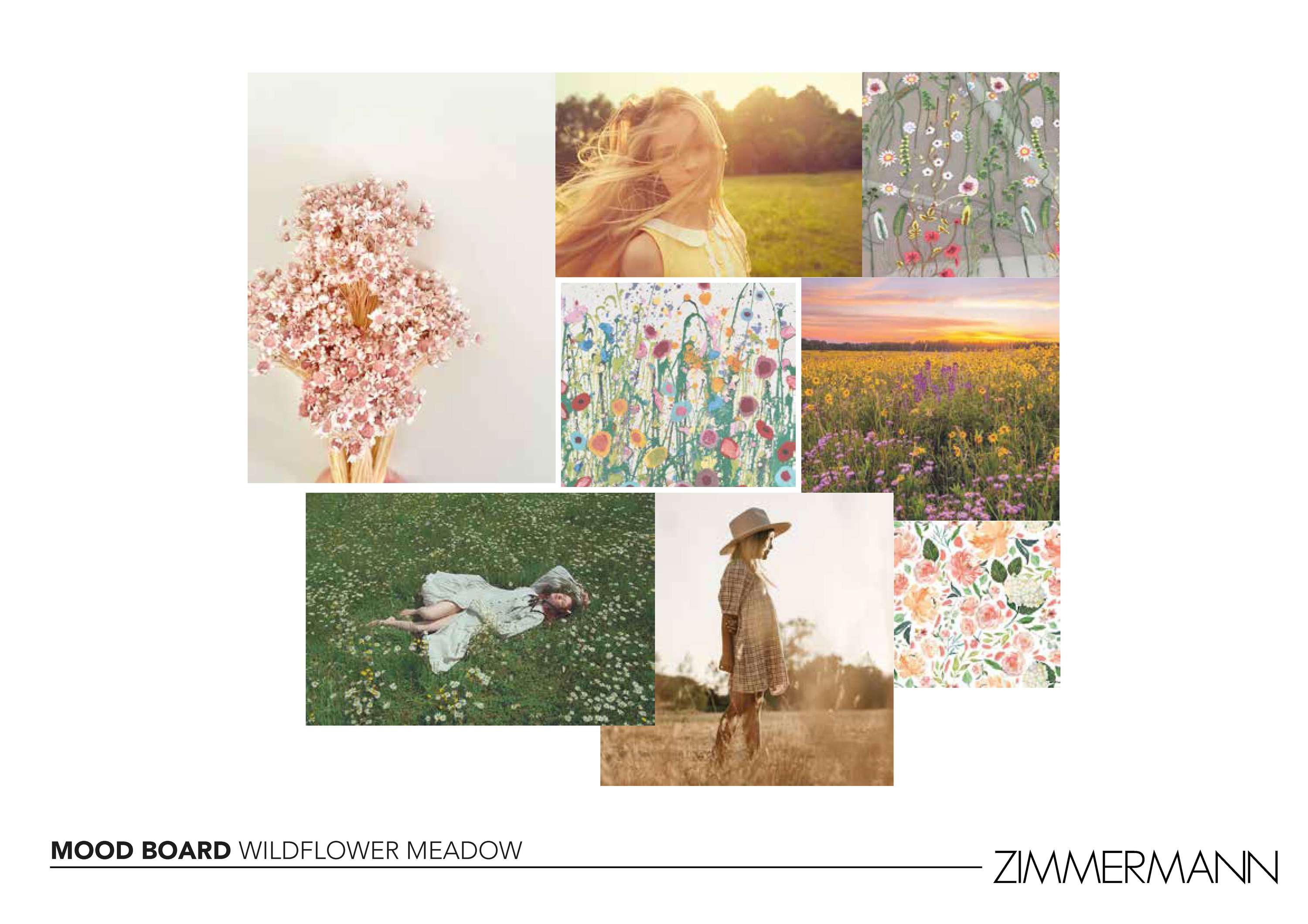 Zimmermann Design Proposal by Rachel Phillips