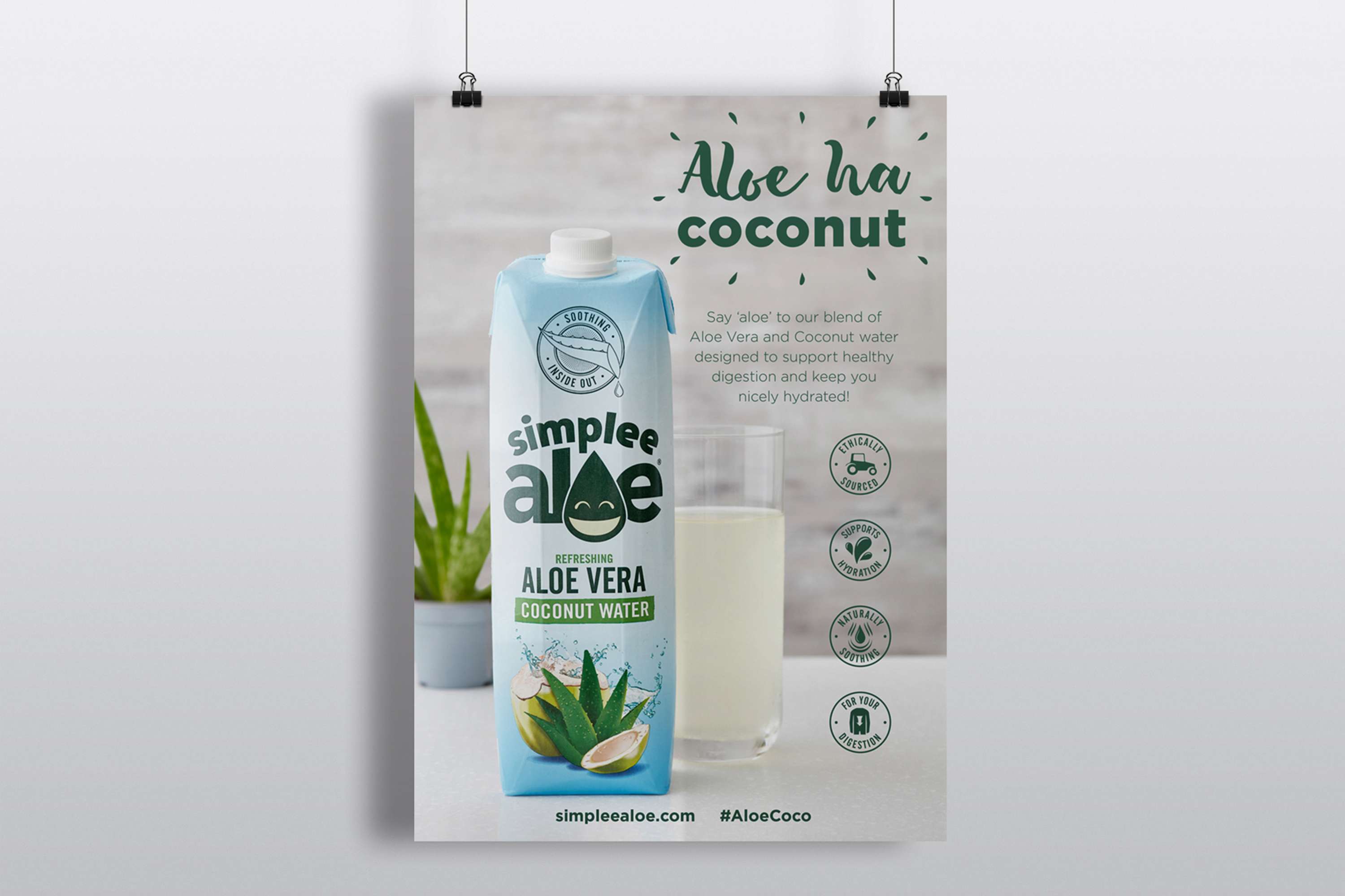 Simplee Aloe by Nicky Gover
