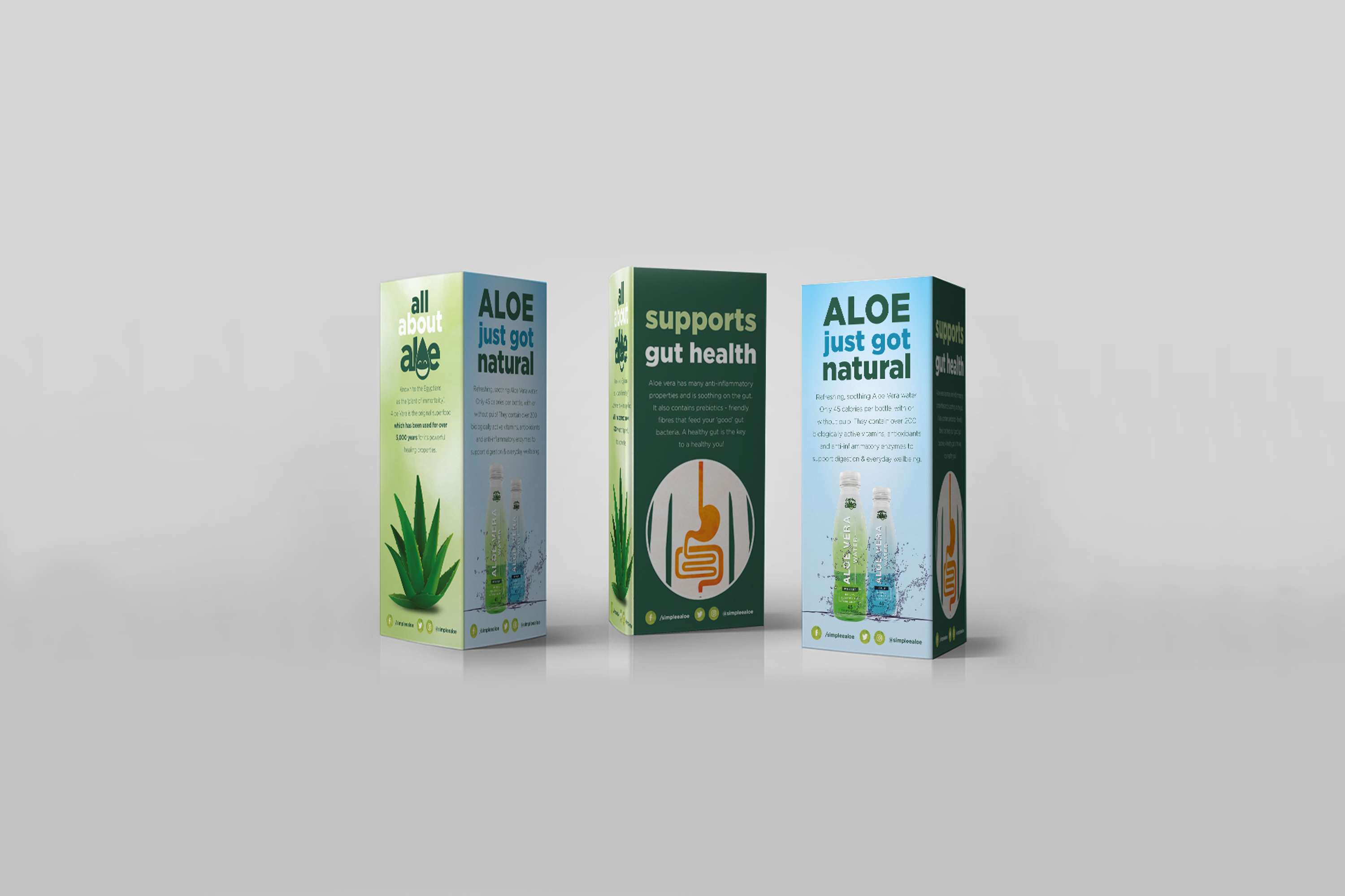 Simplee Aloe by Nicky Gover