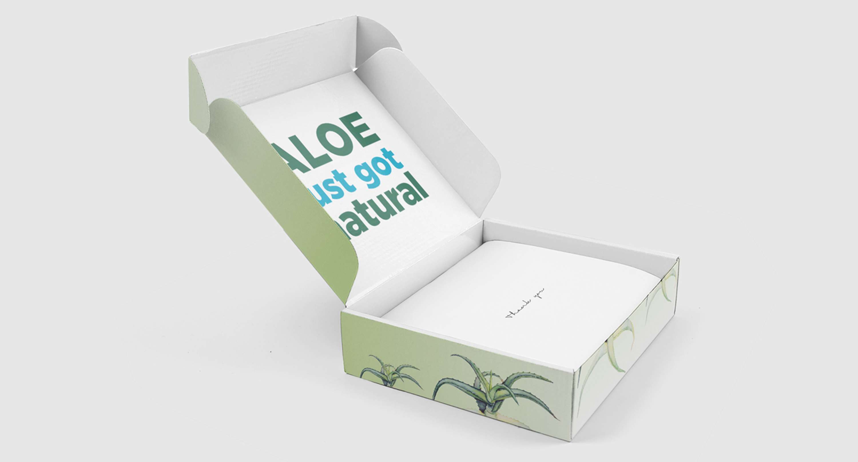 Simplee Aloe by Nicky Gover