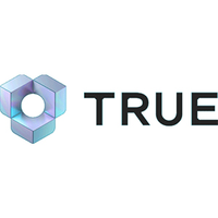 True Value Software AB logo
