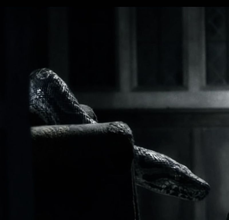 Voldemort (unofficial script in-progress) by Troy Deans