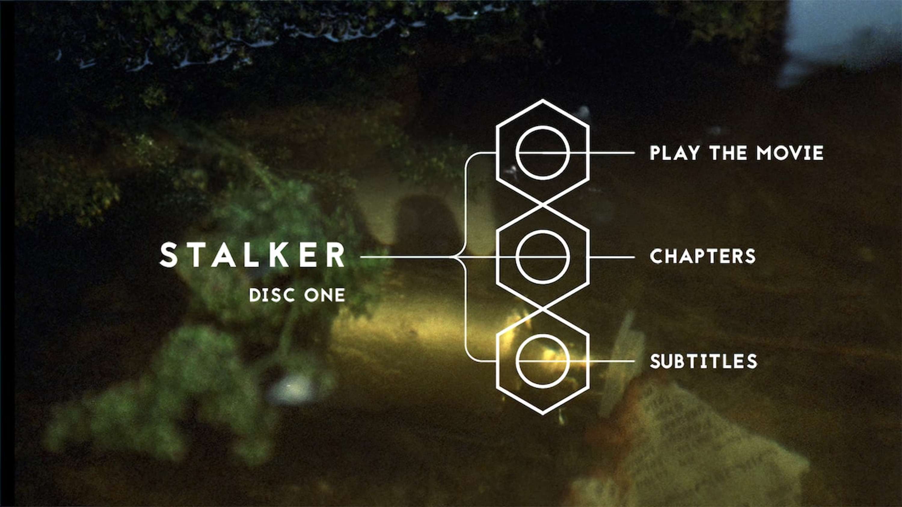 Stalker by Tamas Horvath