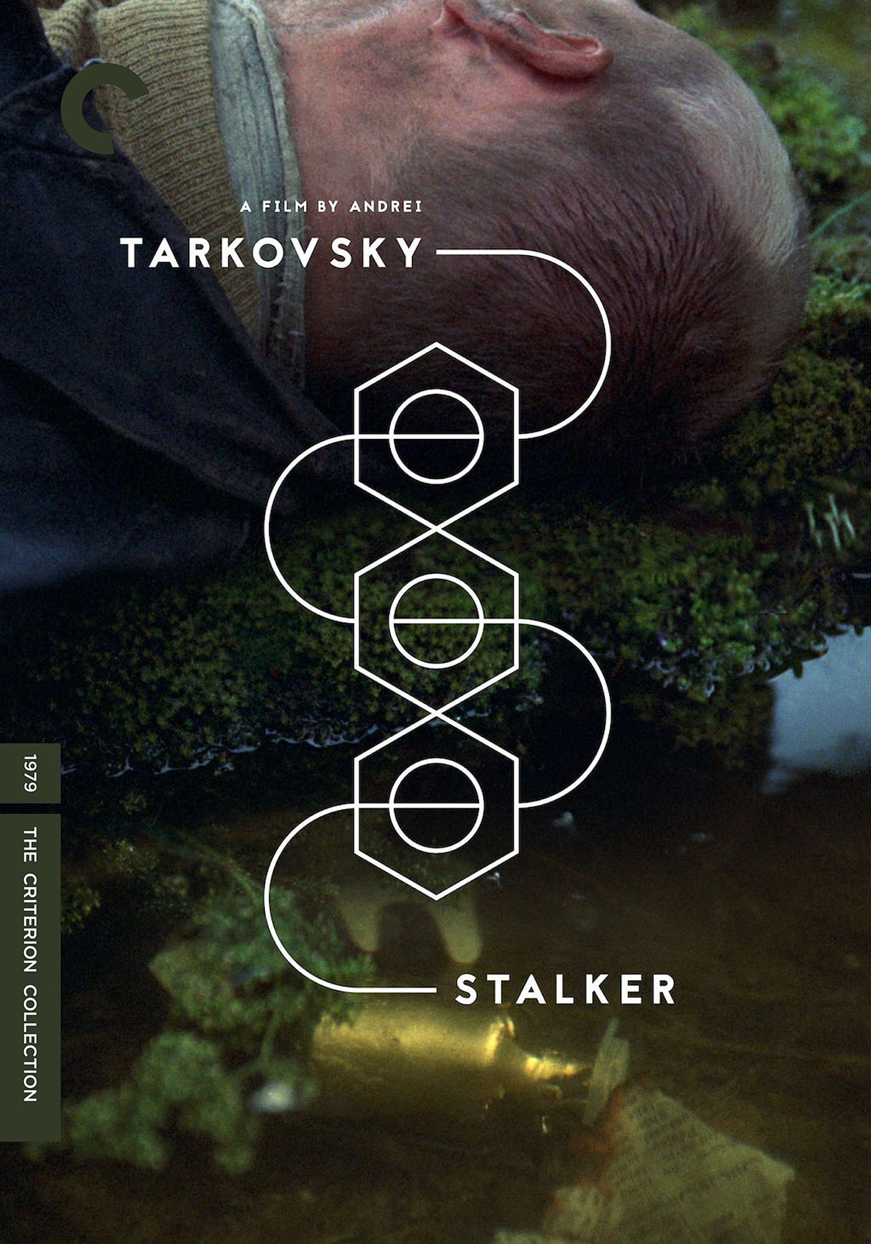 Stalker by Tamas Horvath