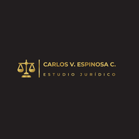 Carlos V. Espinosa C. & Asociados logo