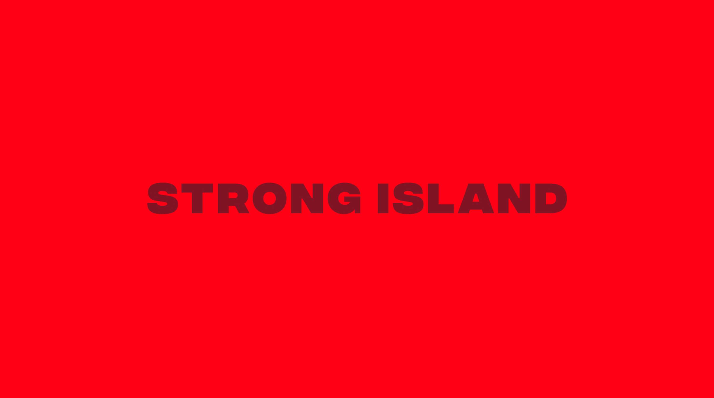 STRONG ISLAND by Vanessa Karabegovic