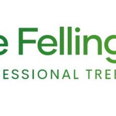 Tree Felling Boksburg