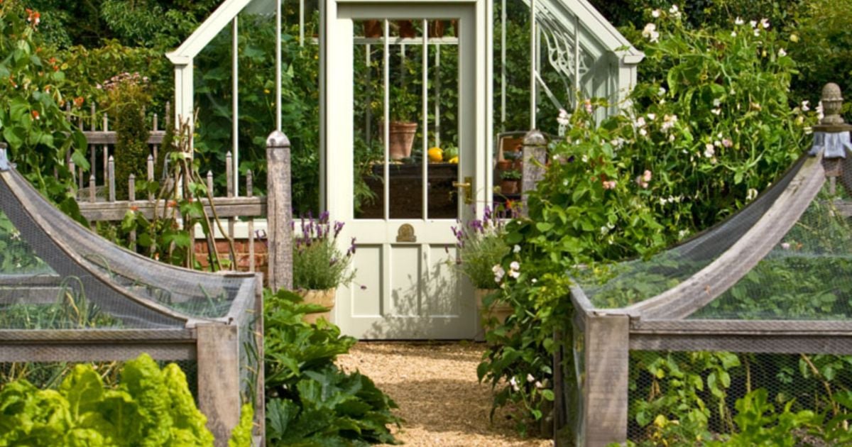 National Trust Hidcote Greenhouse | The Dots