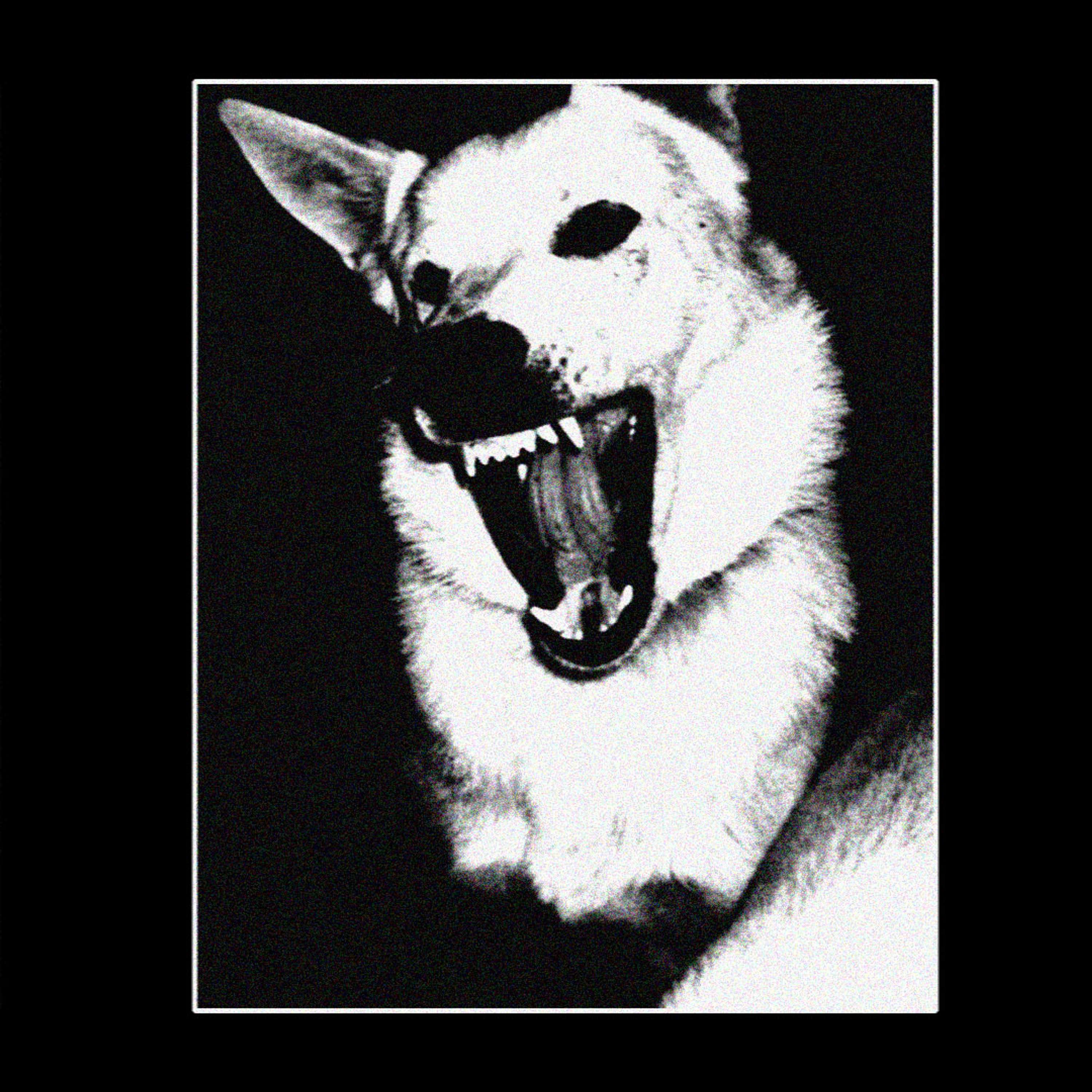 WOOF by El Gould