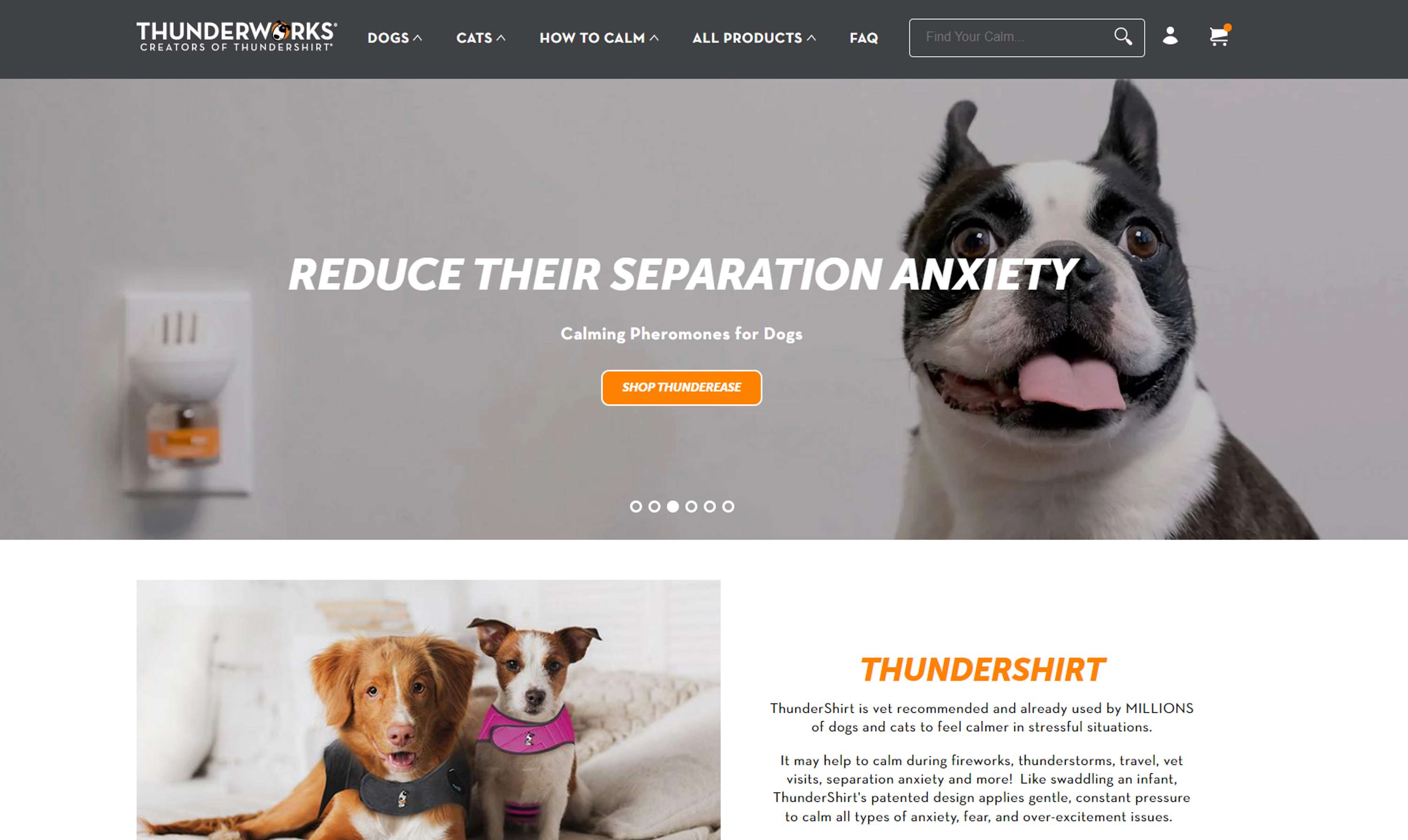 Thundershirt.com - Pet Shop (from Dawn theme) by Yasuhiro Ishimoto