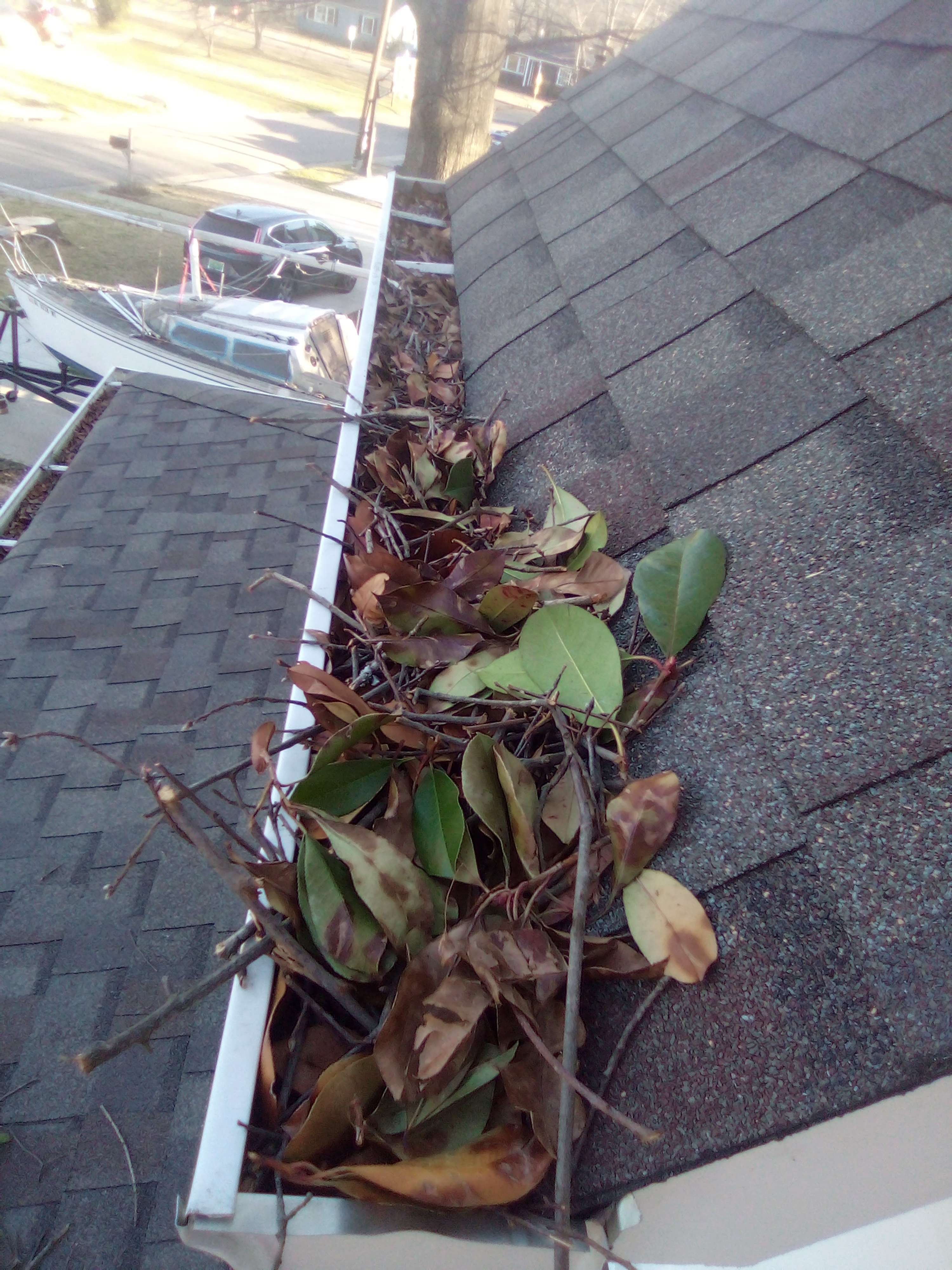 Cedar Rapids Gutter Cleaning by Maureen Jones