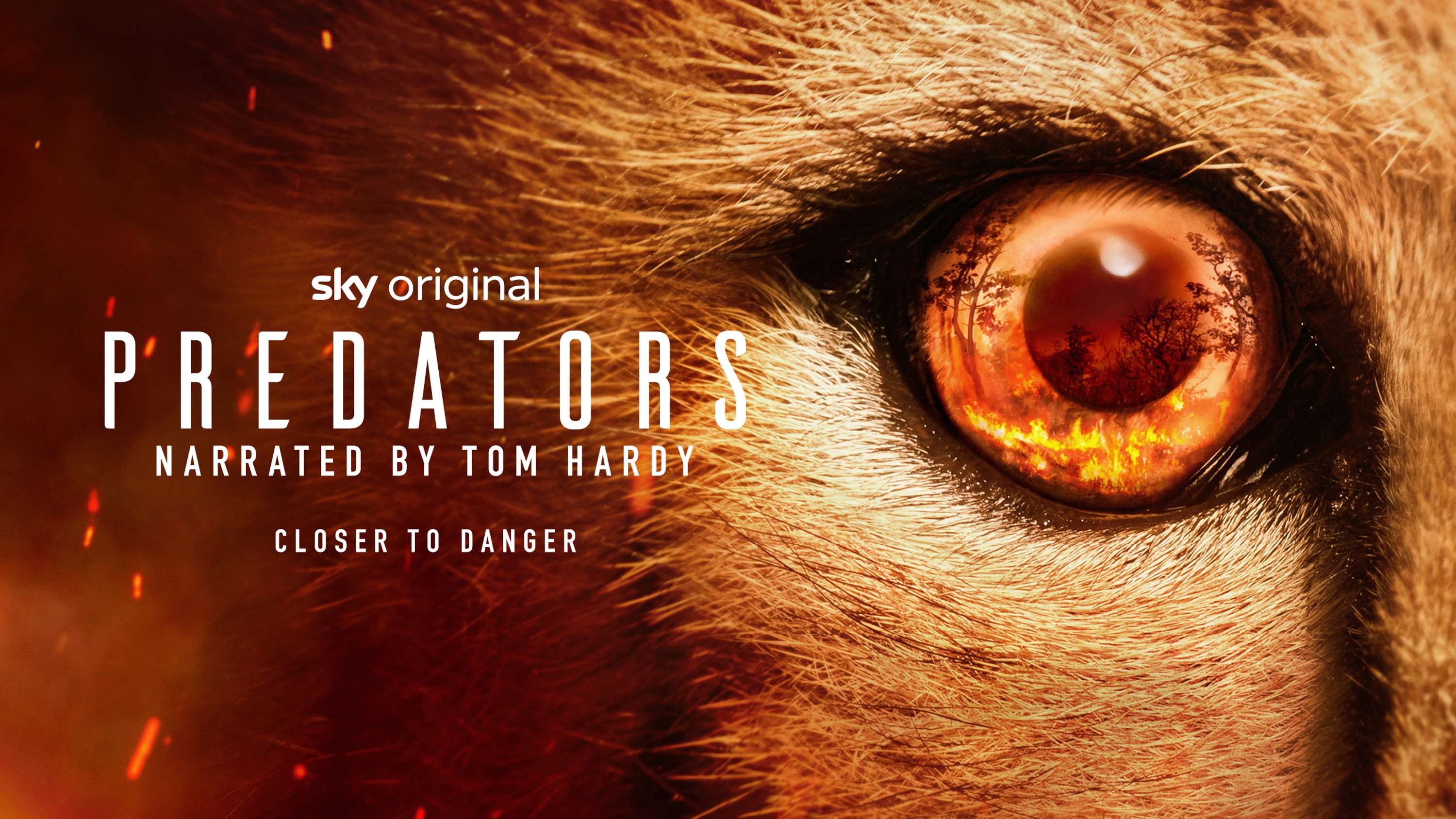 Predators - Key Art and Copy by Luke Butler