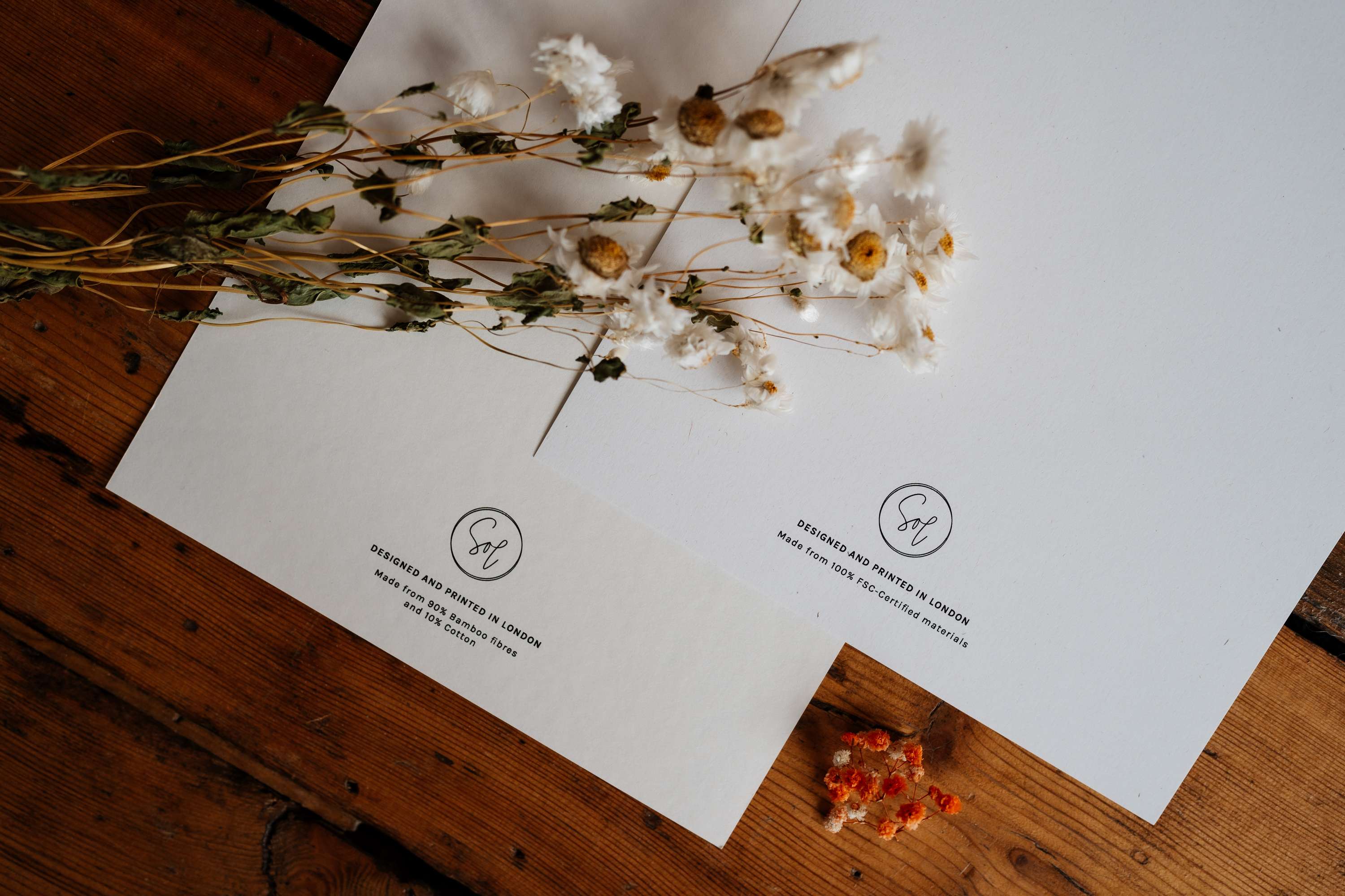 Speckls of Light, Art print studio by Rita Hussain
