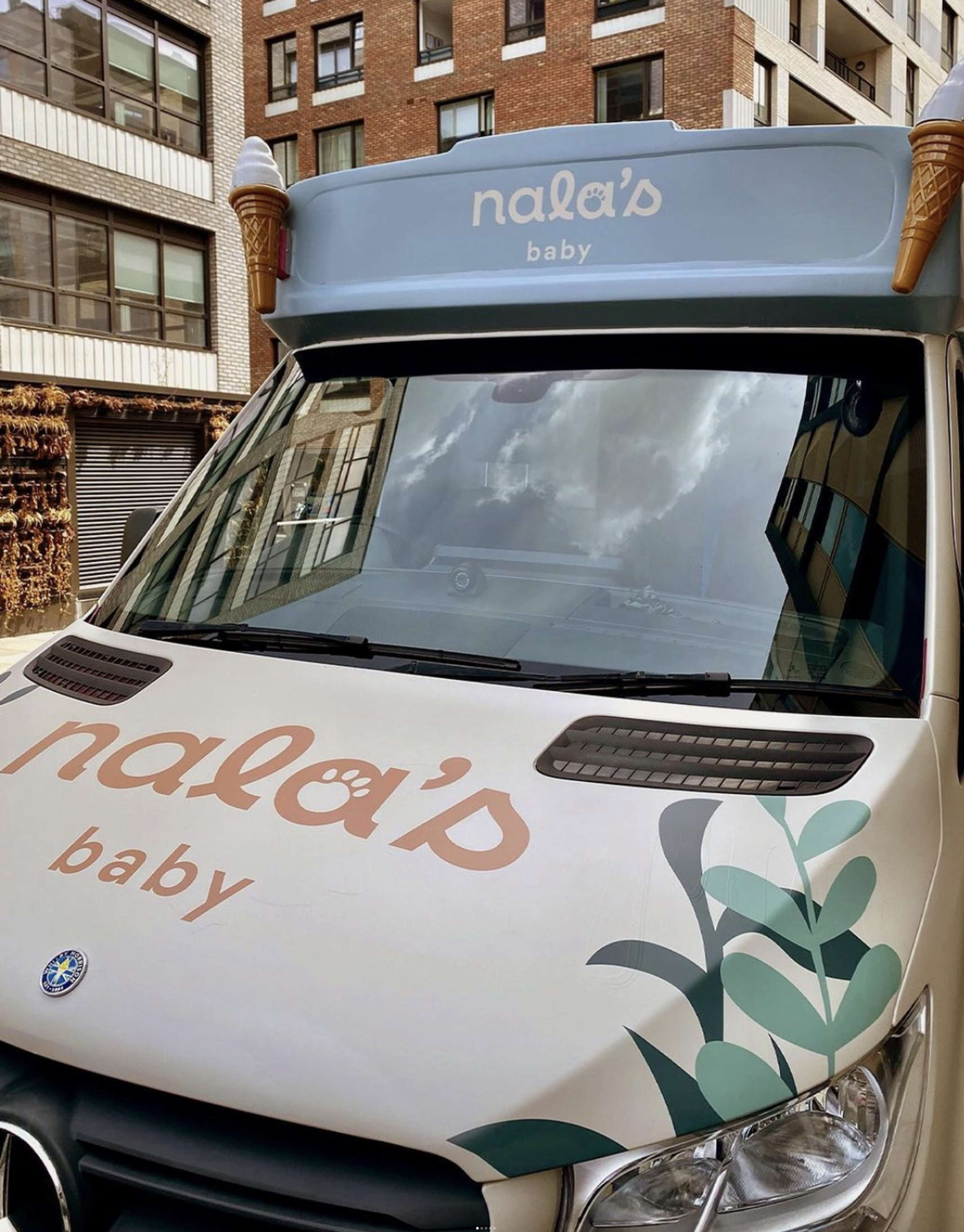 NALA'S BABY - MULTIPLE ACTIVATIONS by Peju Ayanwale