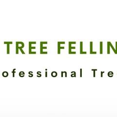 Tree Felling Pretoria