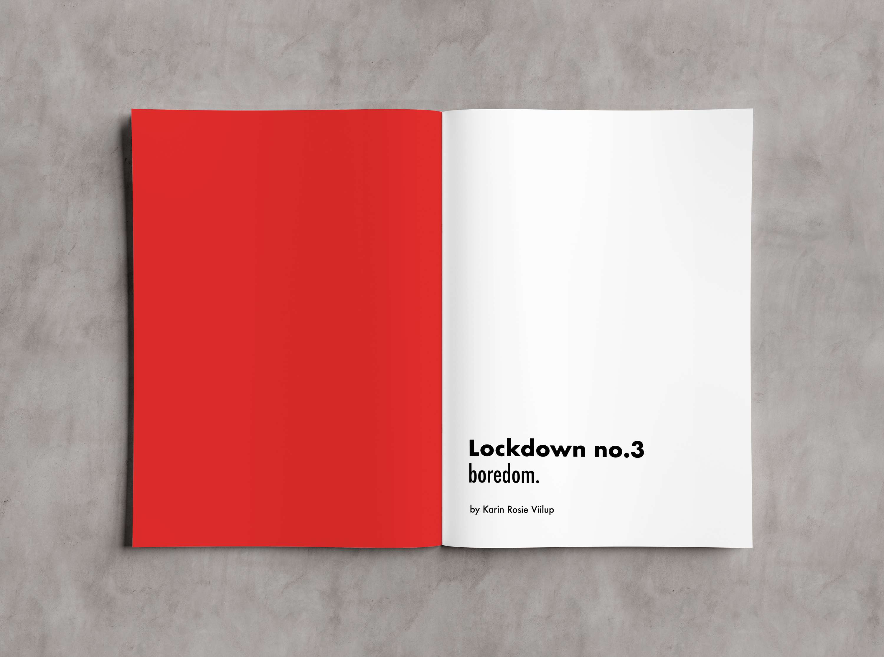 Lockdown Boredom by Rosie Viilup