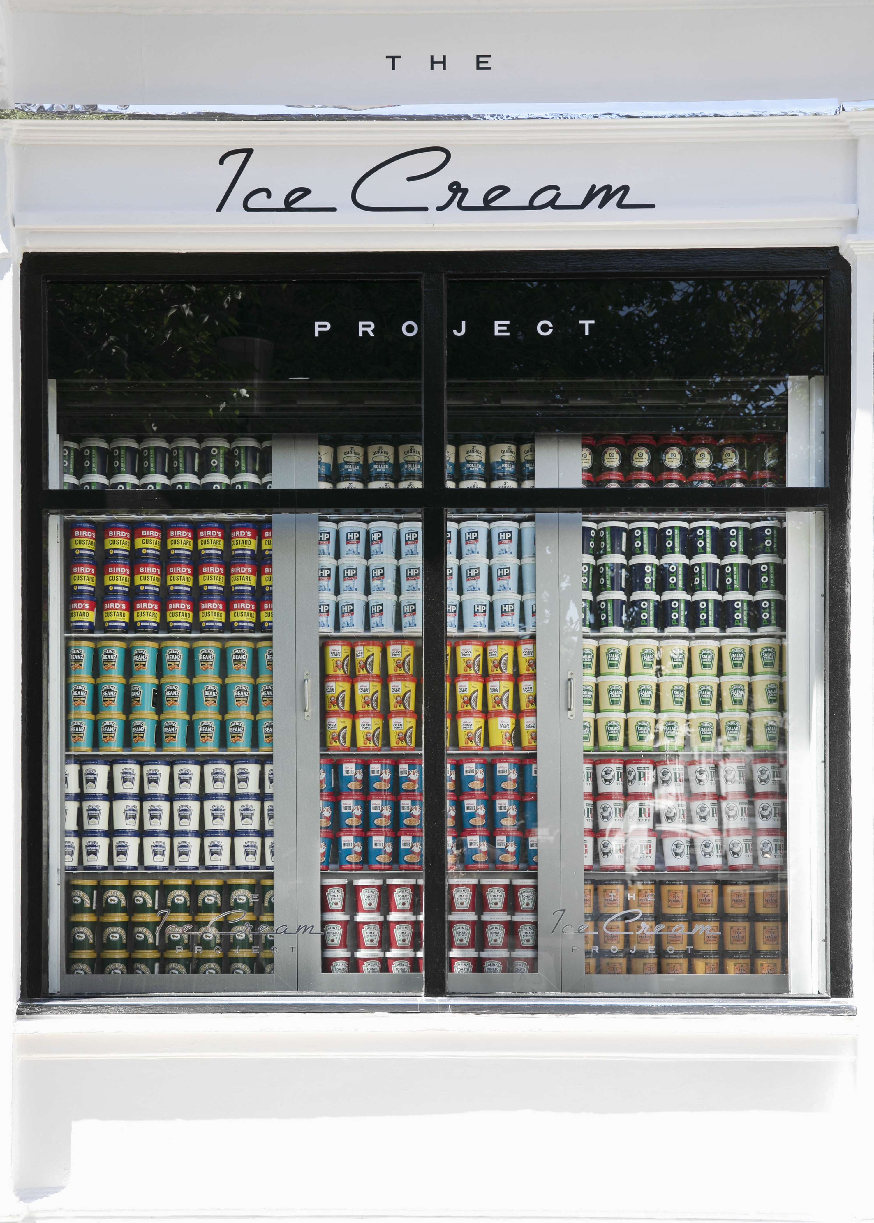 The Ice Cream Project by Amy Naylor