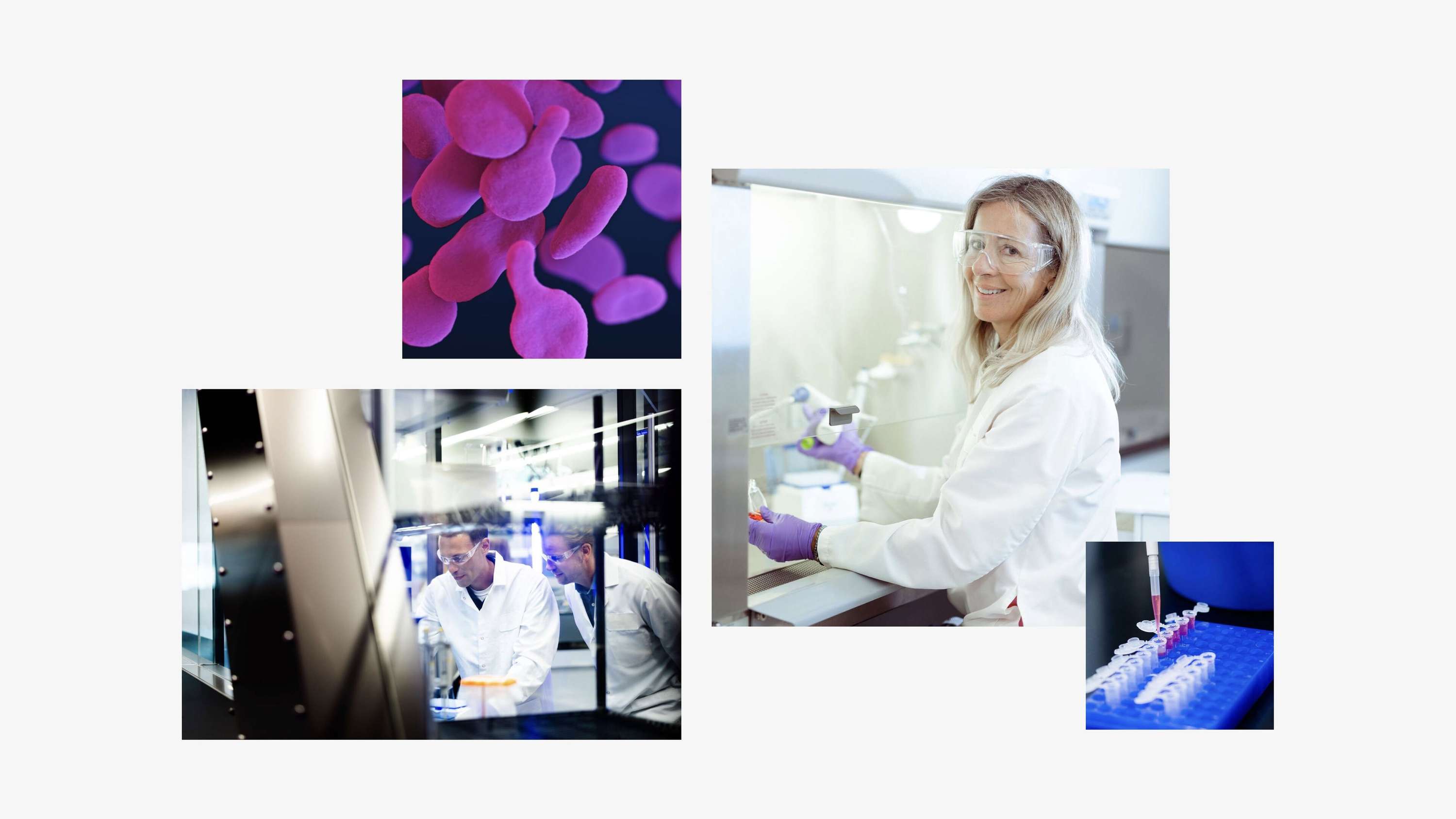 RTW Investments — A new identity and digital platform for a transformative biotech and medtech investment firm by SampsonMay
