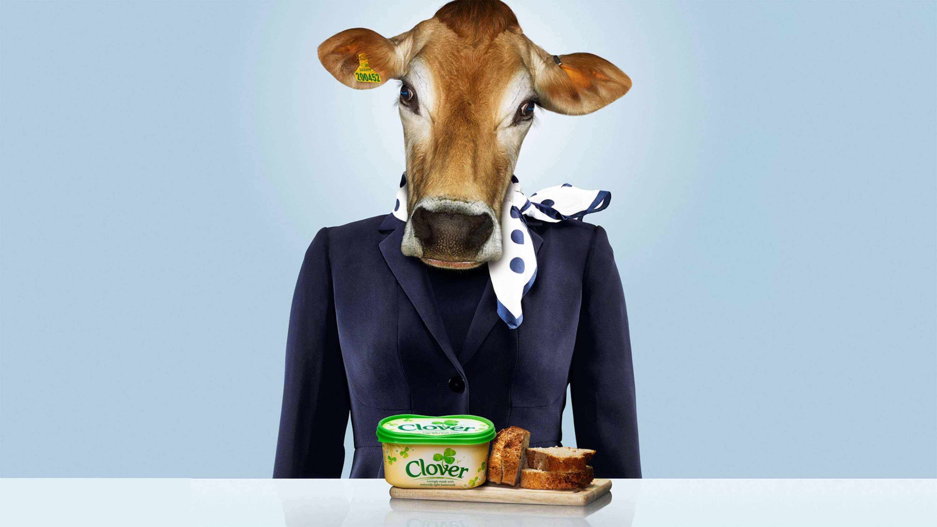 Dairy Crest 2015 by Hudson Wright Easton