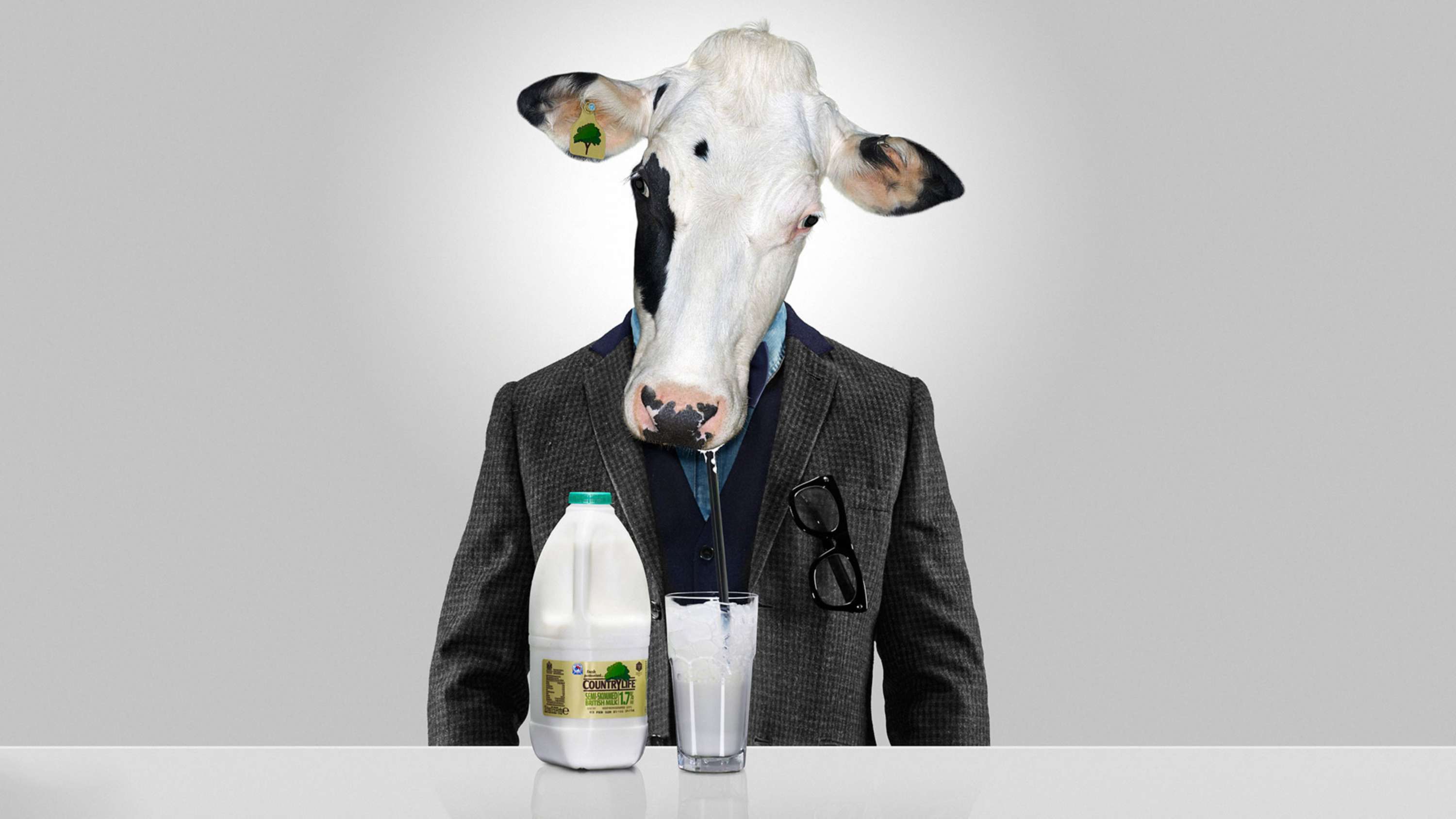Dairy Crest 2015 by Hudson Wright Easton