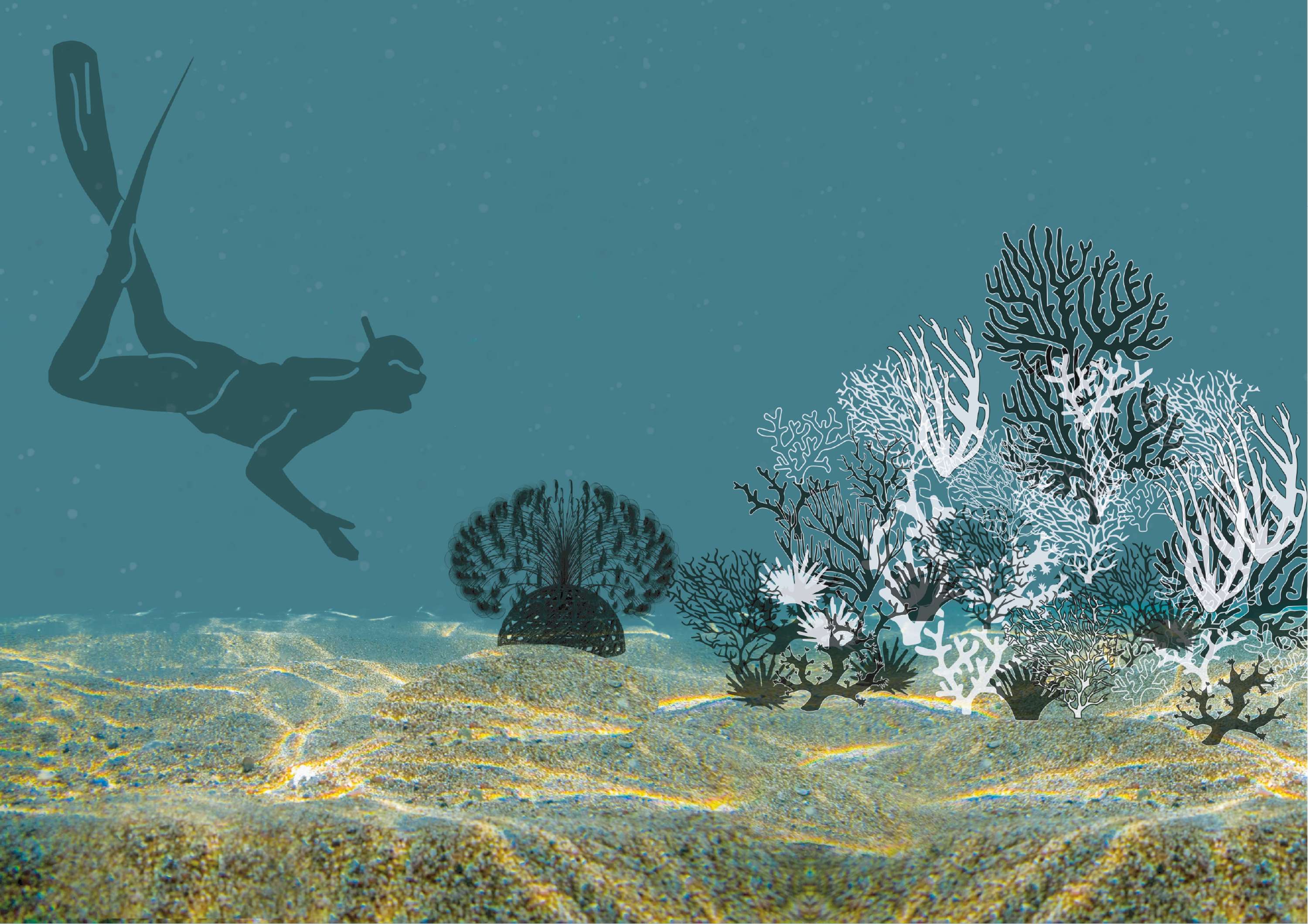 Microcaptor: Microplastic Catchment System by Magali Mendez