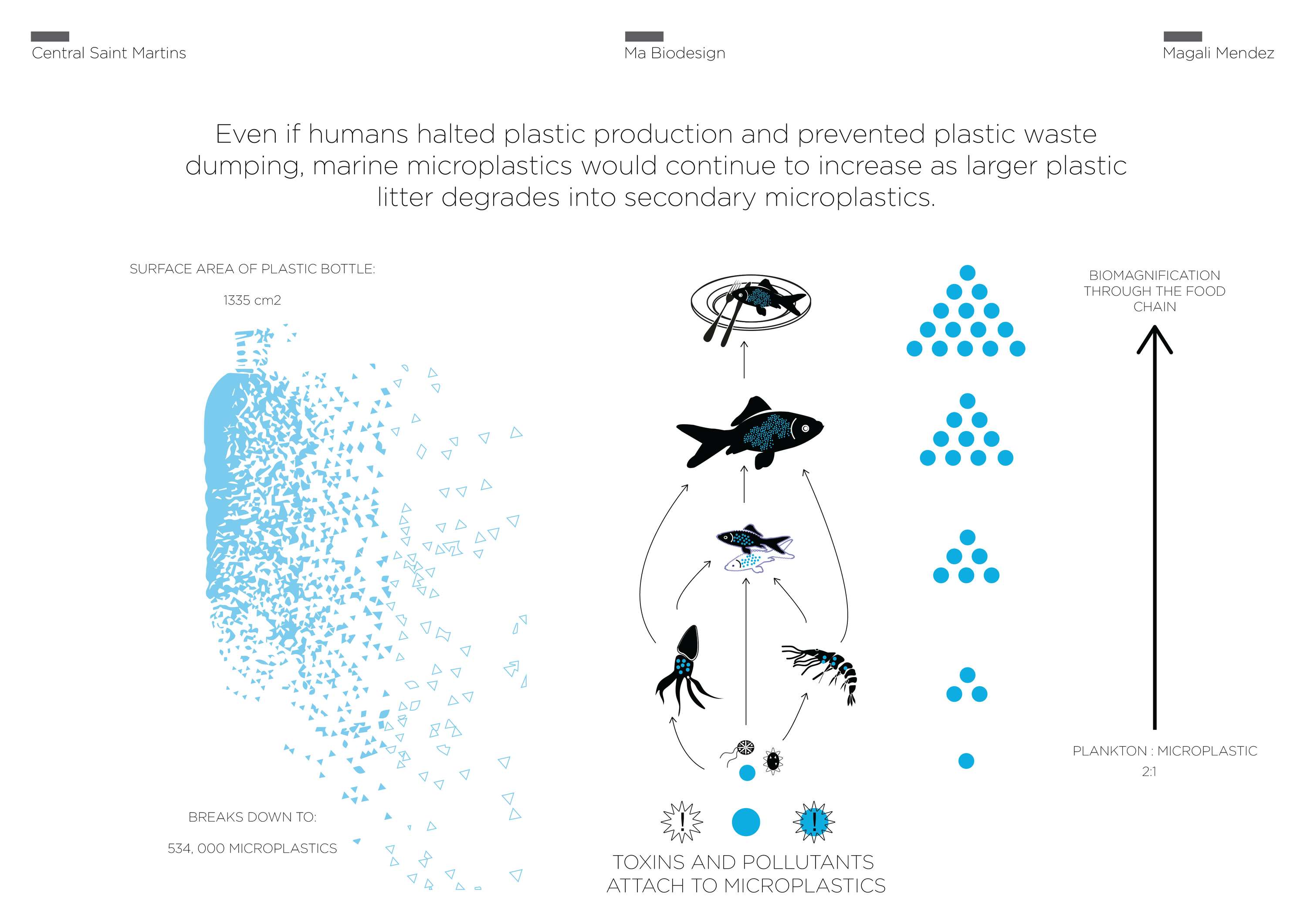 Microcaptor: Microplastic Catchment System by Magali Mendez