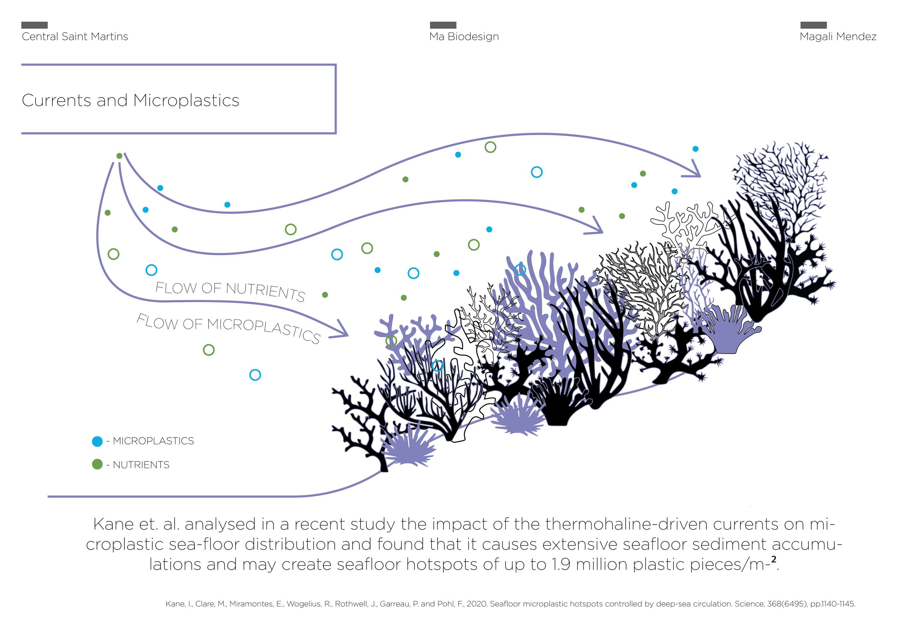 Microcaptor: Microplastic Catchment System by Magali Mendez