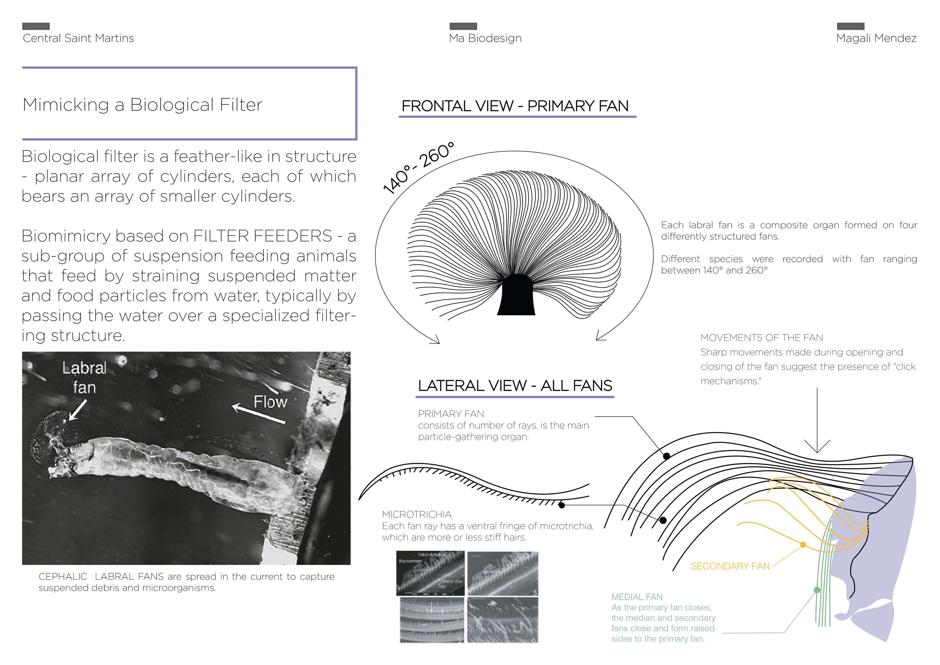 Microcaptor: Microplastic Catchment System by Magali Mendez