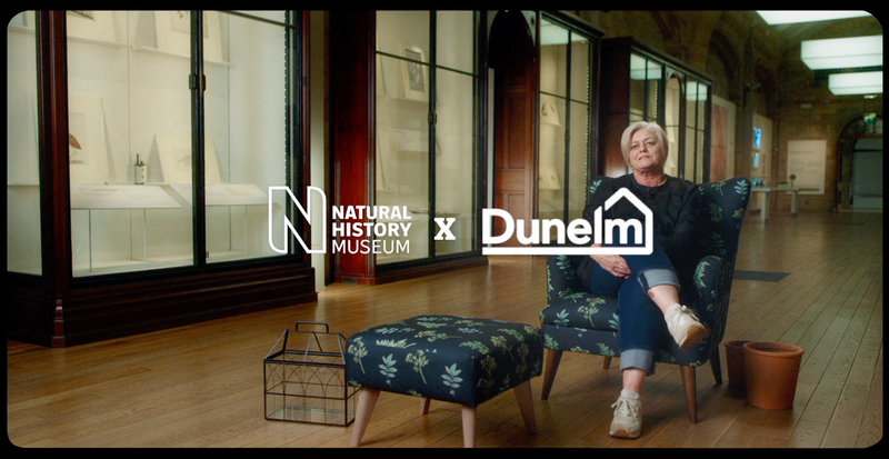 Dunelm X Natural history museum by Marcos Shephard