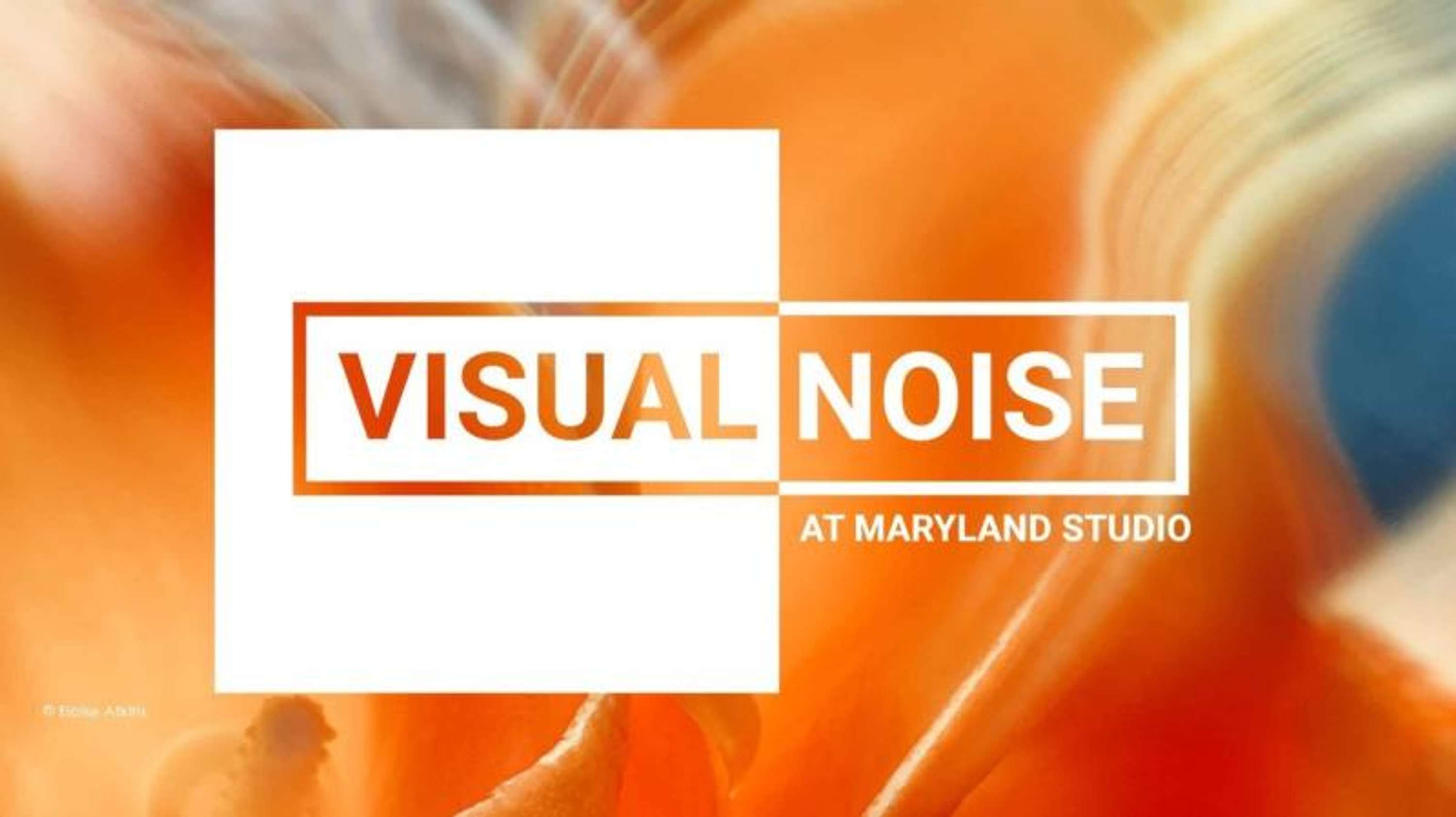VISUAL NOISE: THE NEXT GENERATION EXHIBIT WITH RANKIN by Eloïse Atkins