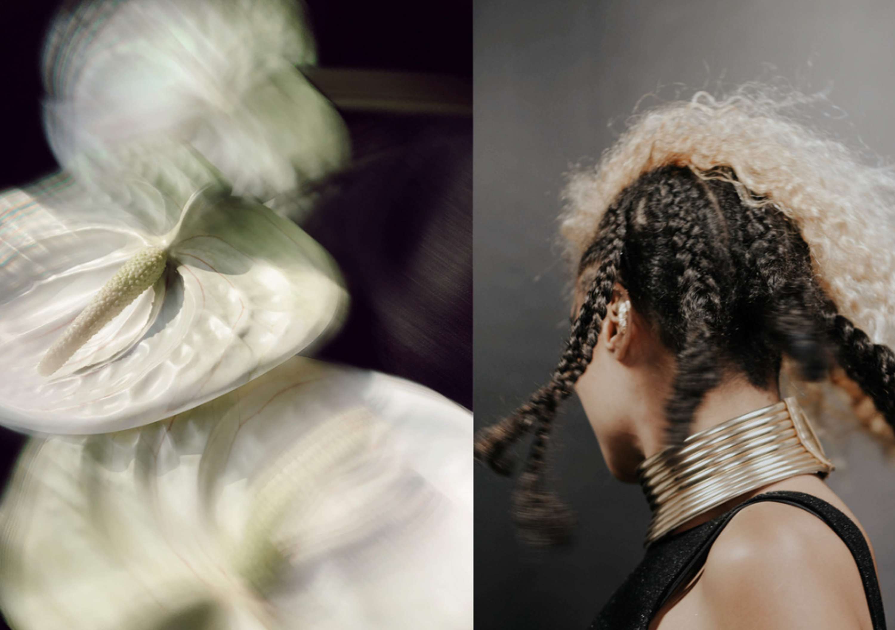 VISUAL NOISE: THE NEXT GENERATION EXHIBIT WITH RANKIN by Eloïse Atkins