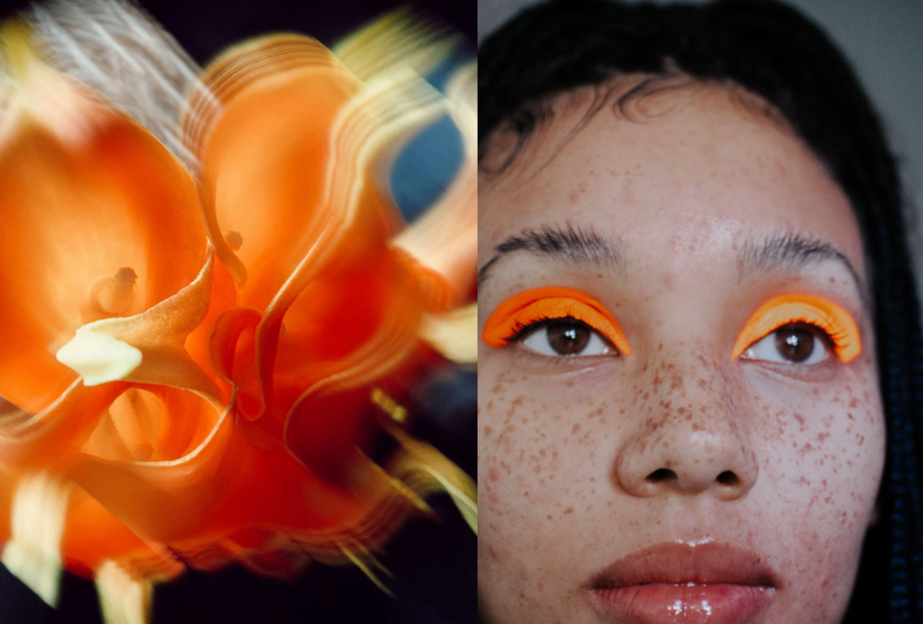 VISUAL NOISE: THE NEXT GENERATION EXHIBIT WITH RANKIN by Eloïse Atkins