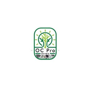 OC Pro Space logo