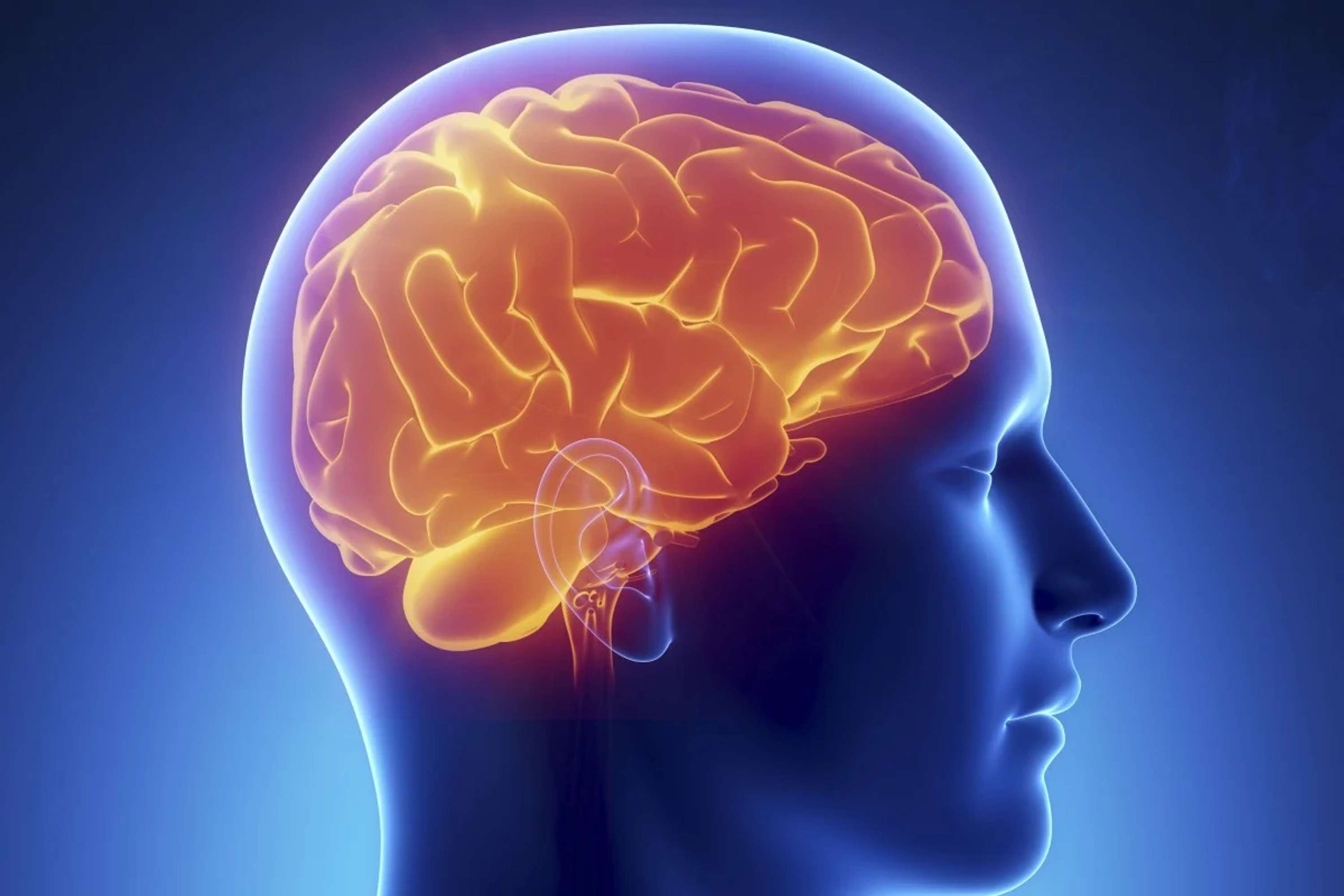 Are Brain test and procedures are risk-free? by MemTrax LLC