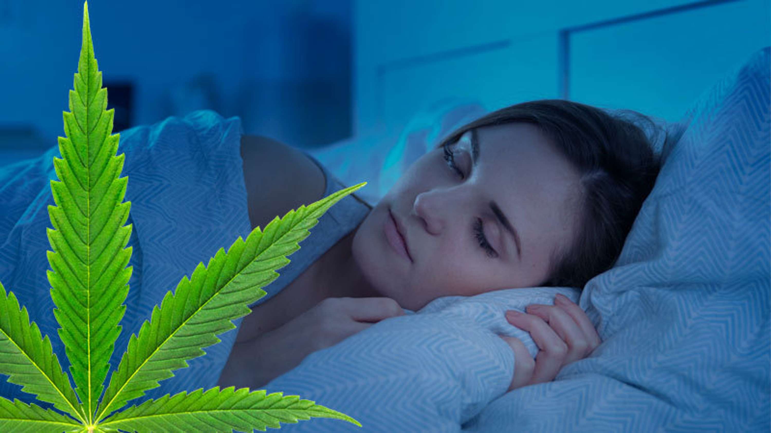 Kevin Costner CBD Gummies – Get Better Healthy With CBD Tincture! Price & Buy by Sammy Jordan