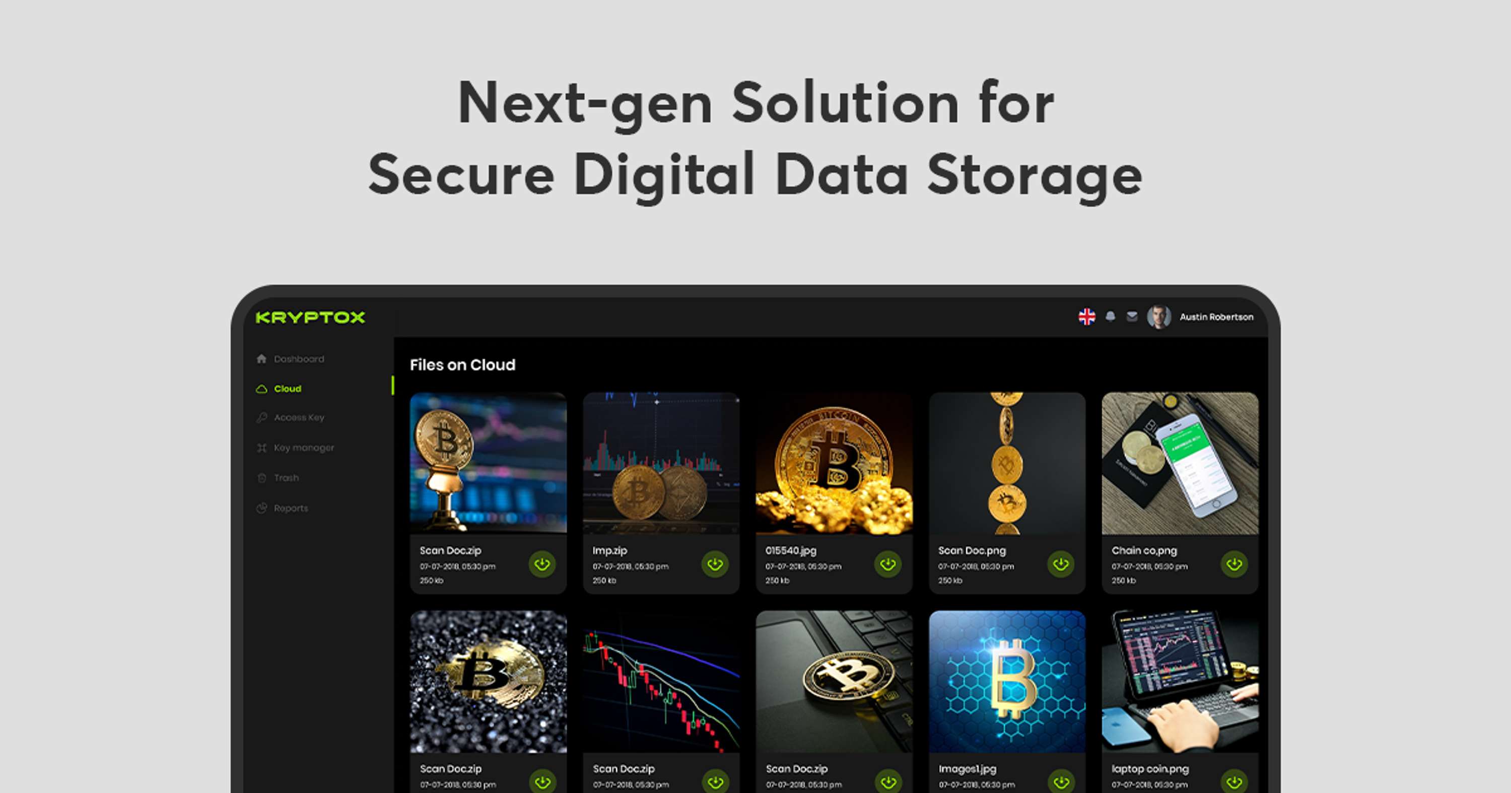Next-gen Solutions for Secure Digital Storage by The Gray Bear