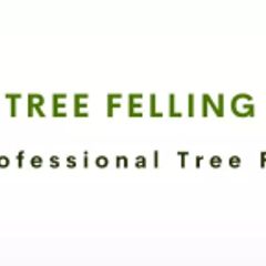 Tree Felling Amanzimtoti