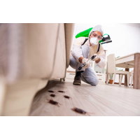 The Green Termite Removal Experts logo