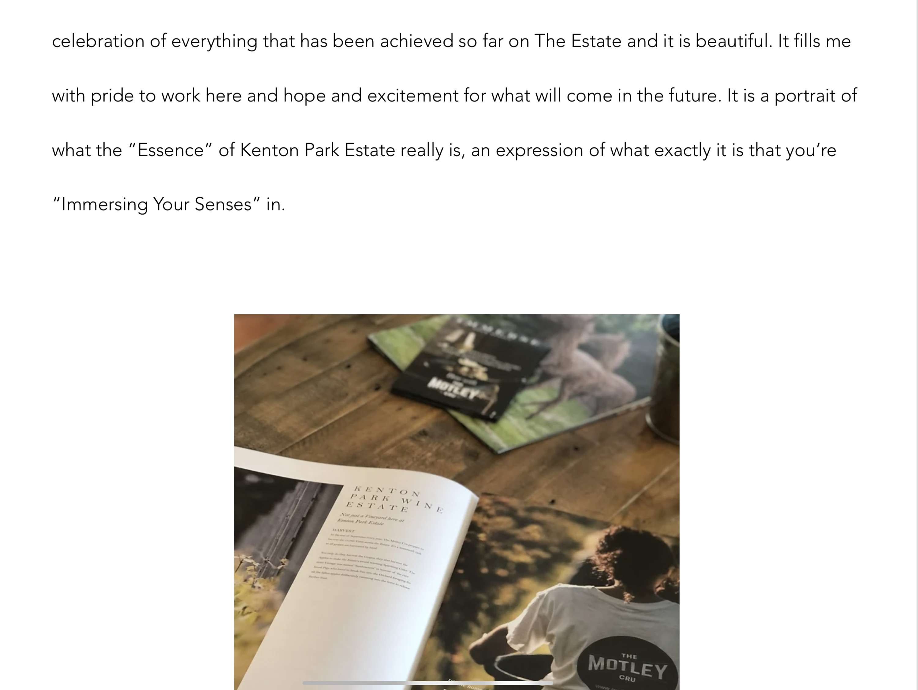 B2C Blogs by Toby Brooks