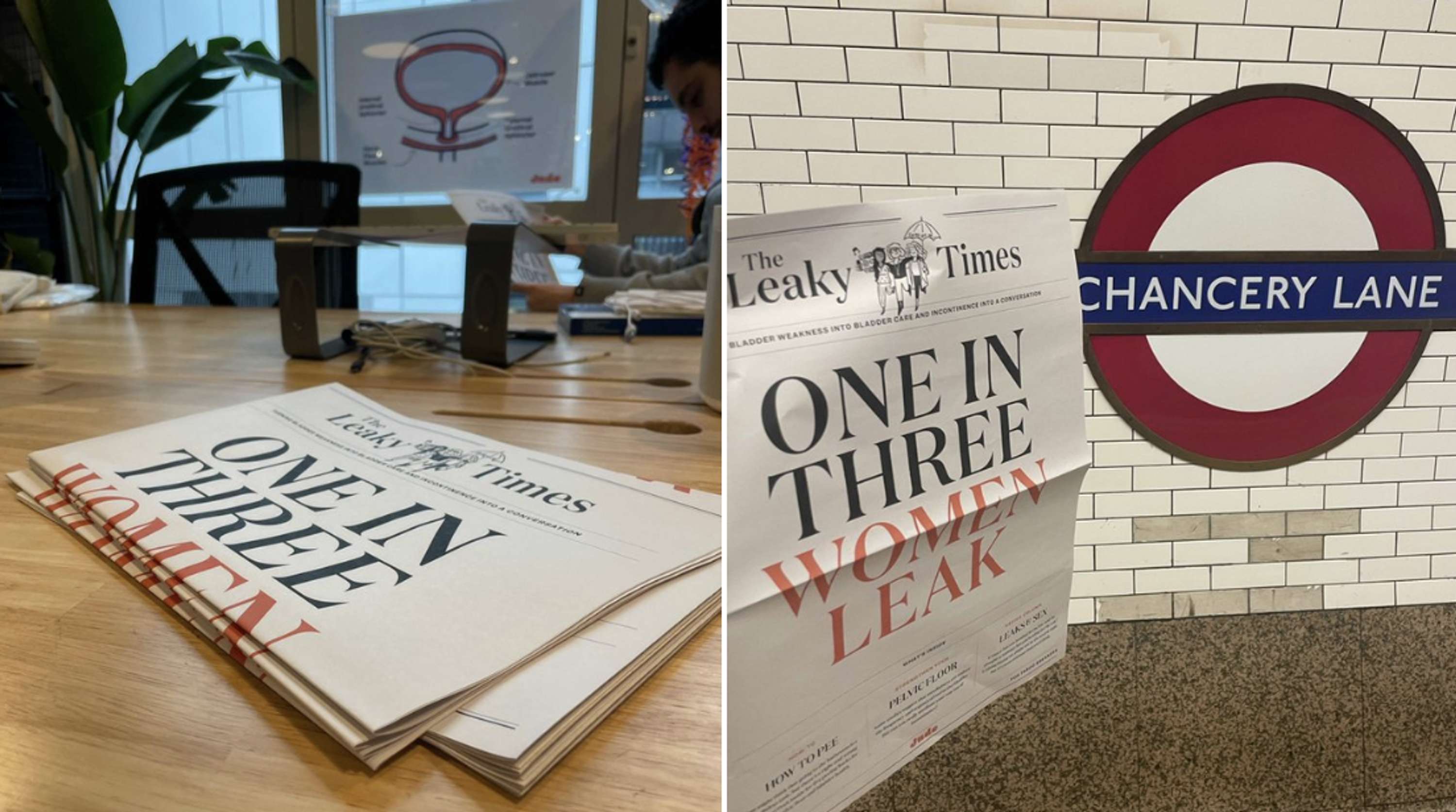 The Leaky Times by Fiona Chapman