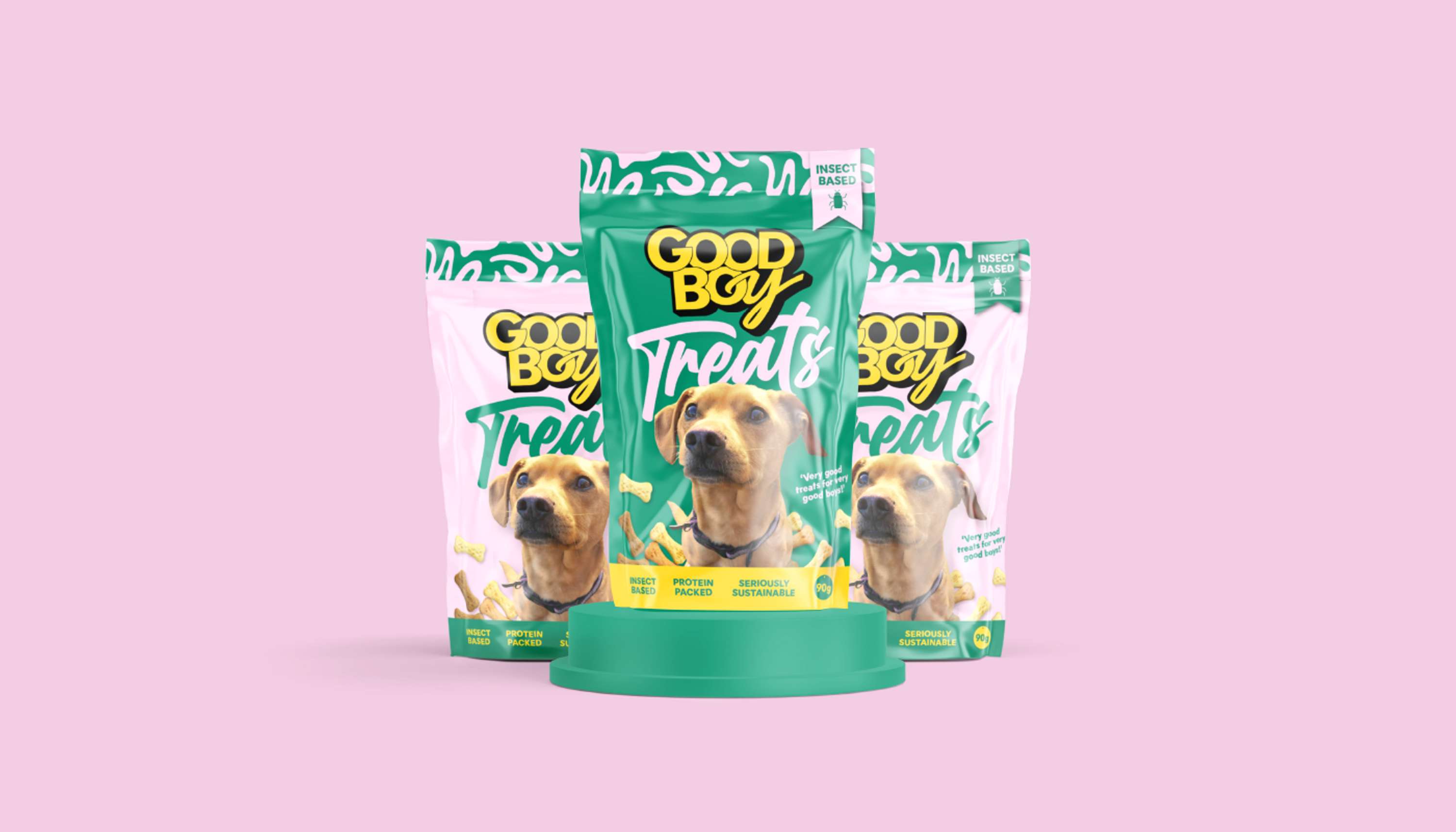 Good Boy Dog Walking & Boarding  |  Logo Design & Brand Identity by Mia Trevelyan
