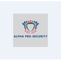 Alpha Pro Security logo