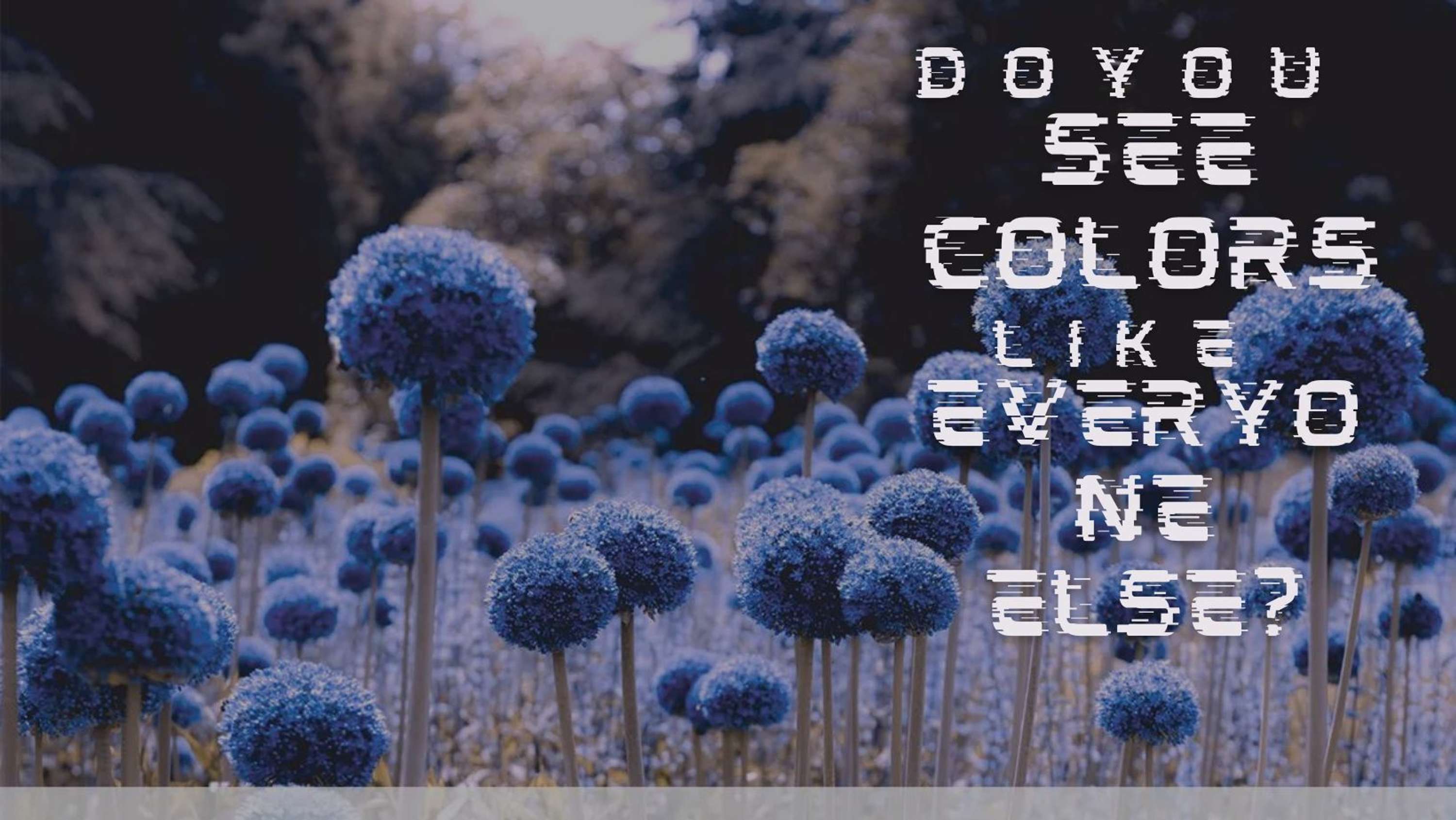 Factors of Color Blindness And Its Test by Omar Setty