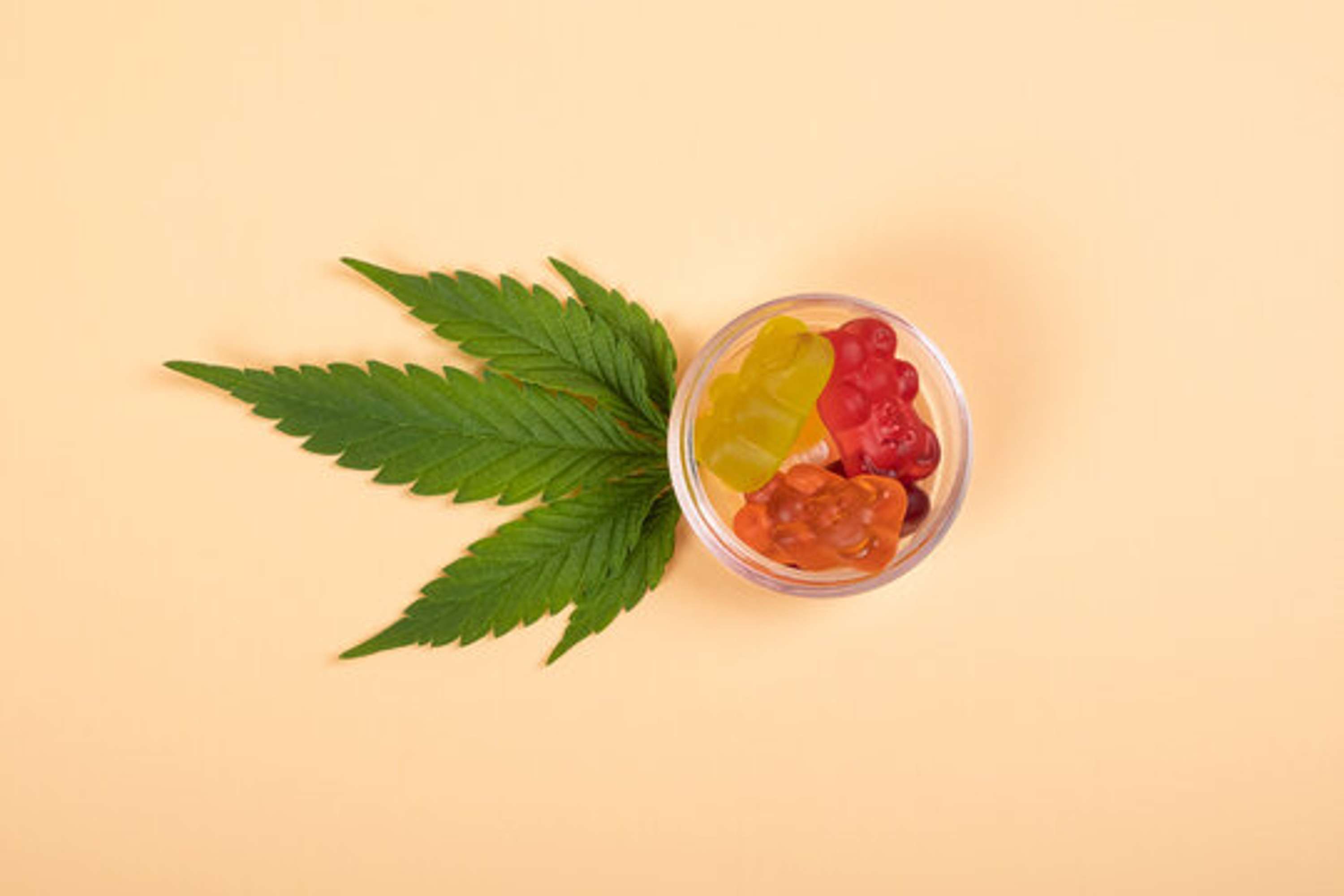 TruFarm CBD Gummies REVIEWS SPAM & LEGIT PRICE GIVEAWAYS OFFERS! by TruFarm CBD Gummies