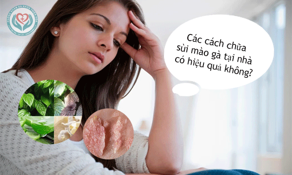 Sự thật về cách chữa sùi mào gà tại nhà có thực sự hiệu quả by Phòng Hòa