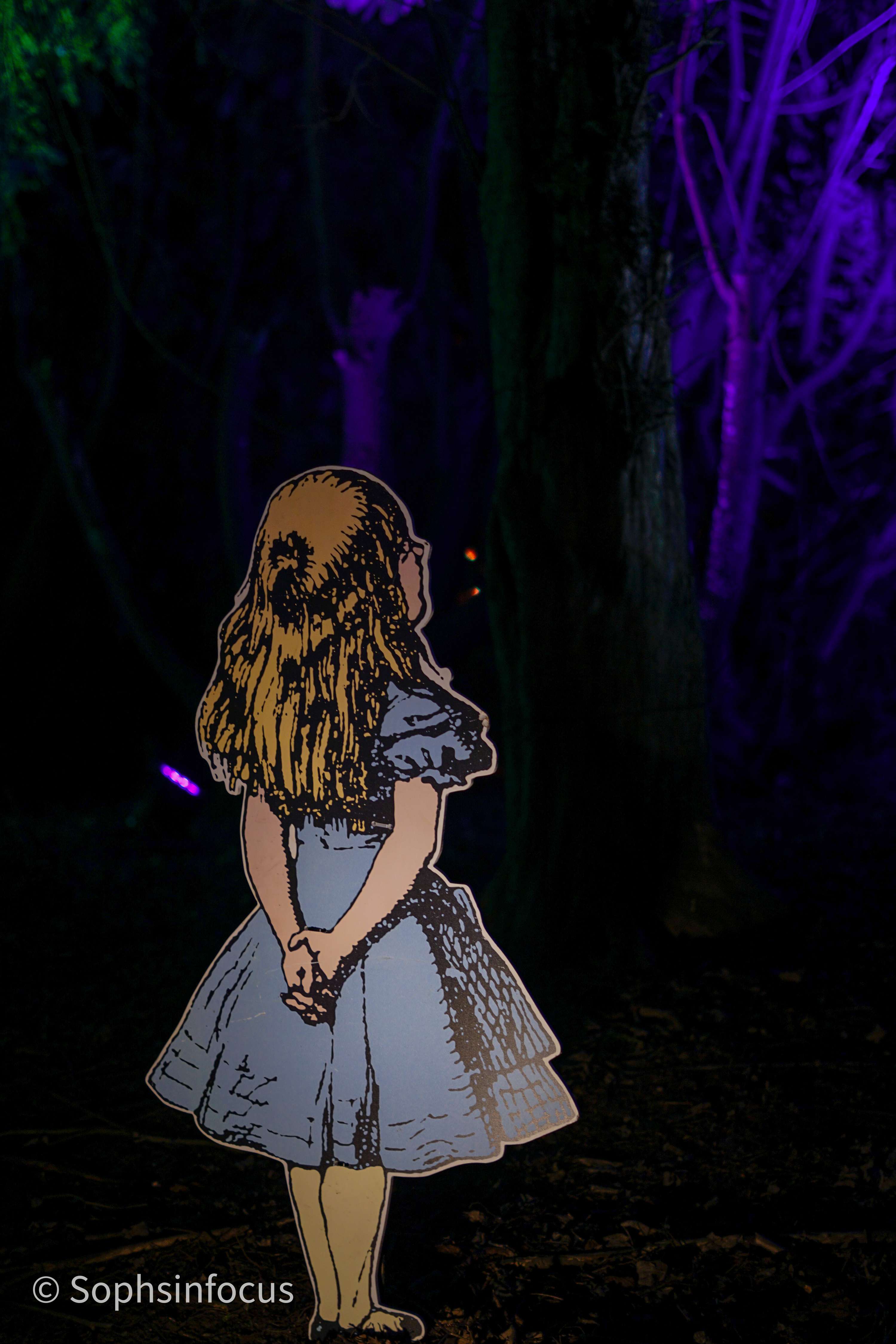 Spectacle of light by Sophie Debenham