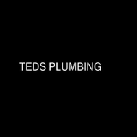 Ted's Plumbing logo