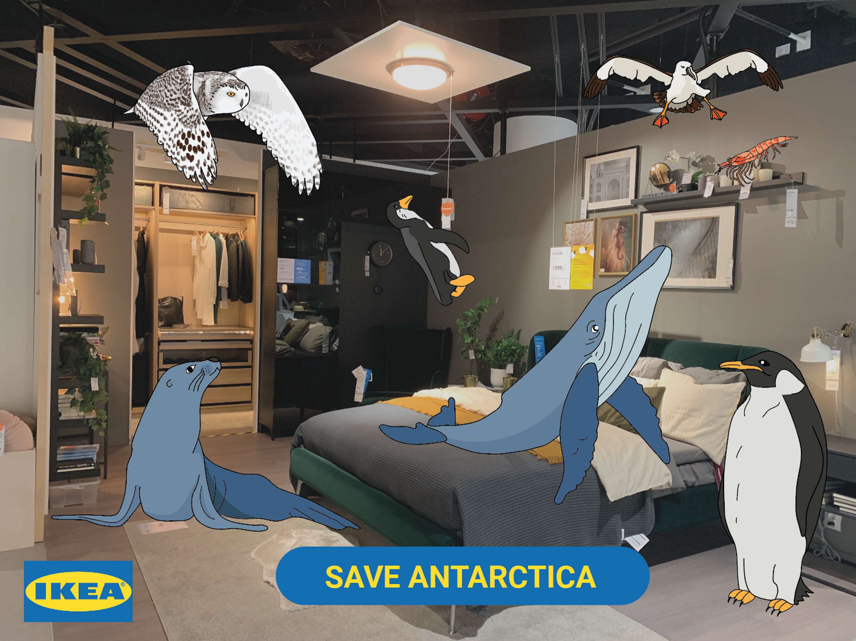 Save Antarctica by Barbara Grajek