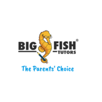 Big fish tutors logo